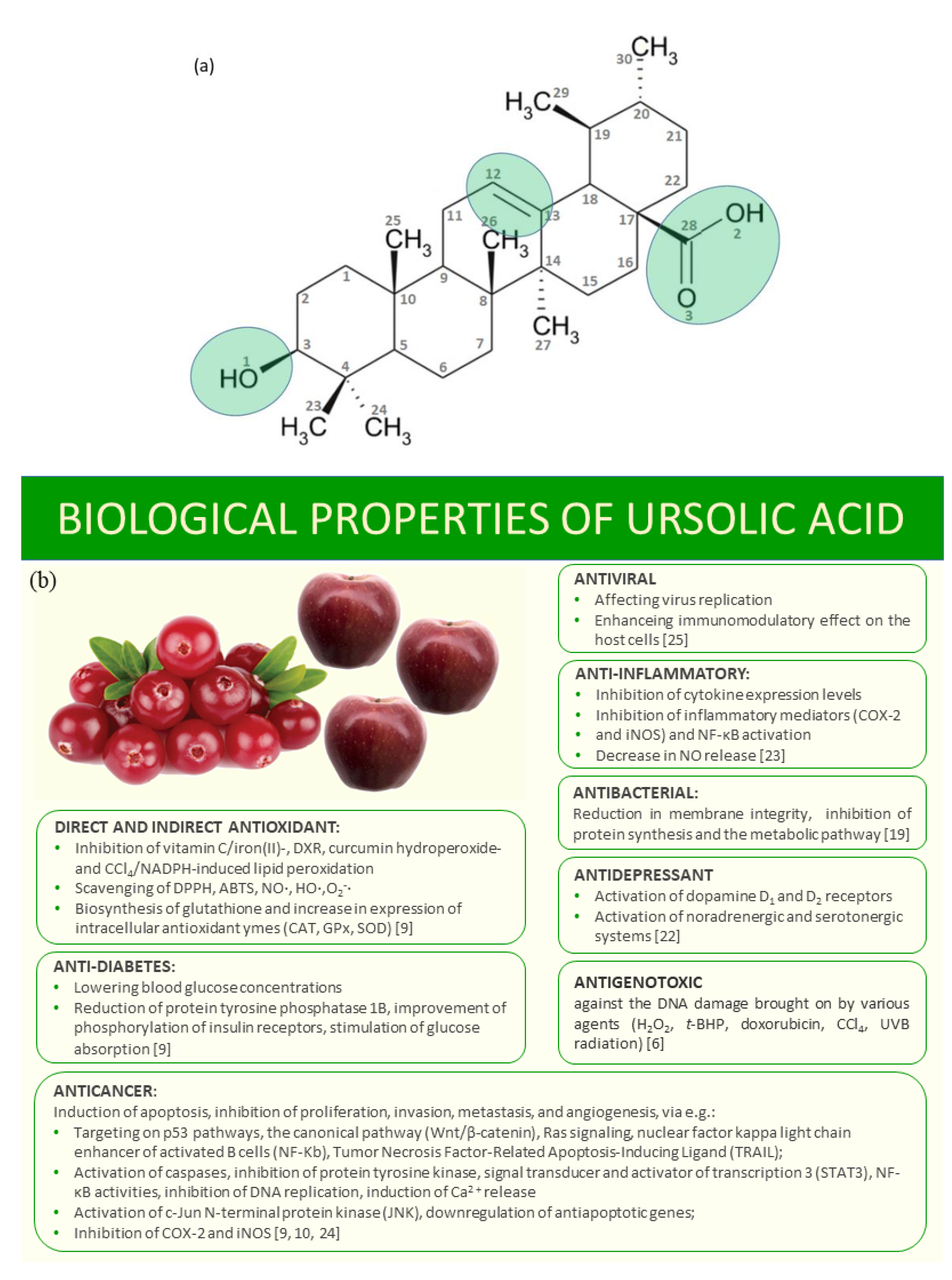 Materials 14 00264 g001 Materials 14 00264 g001