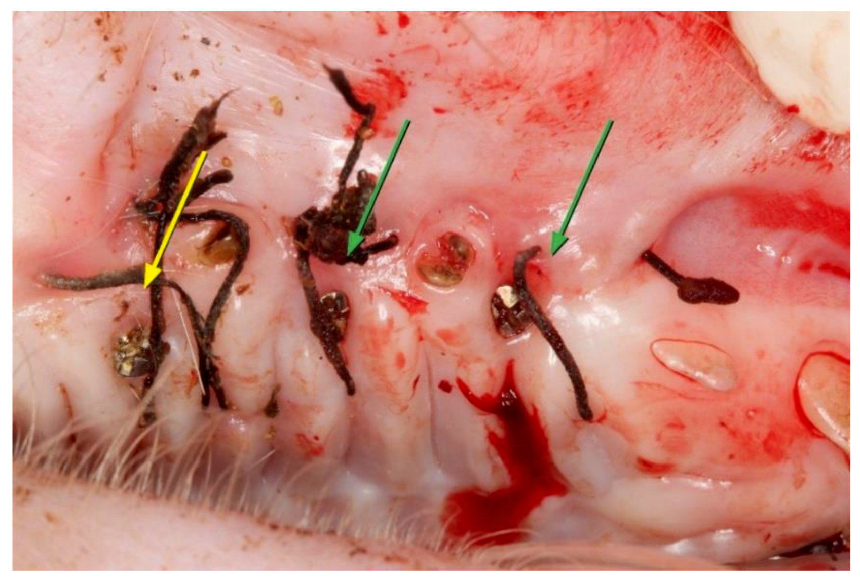 Materials 14 00272 g003