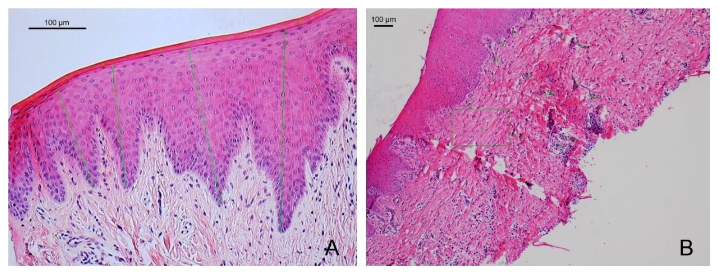 Materials 14 00272 g007