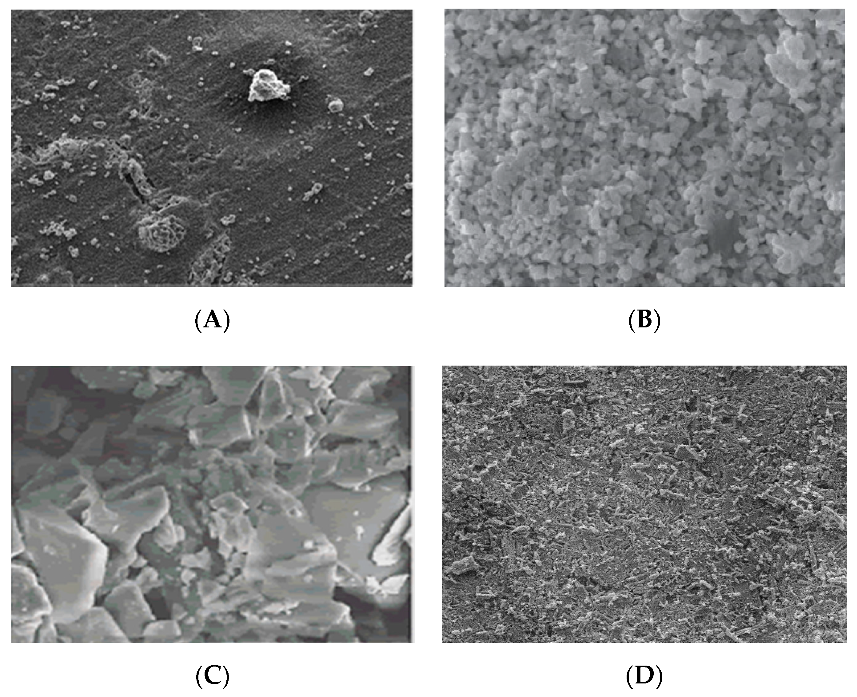 Materials 14 00277 g002