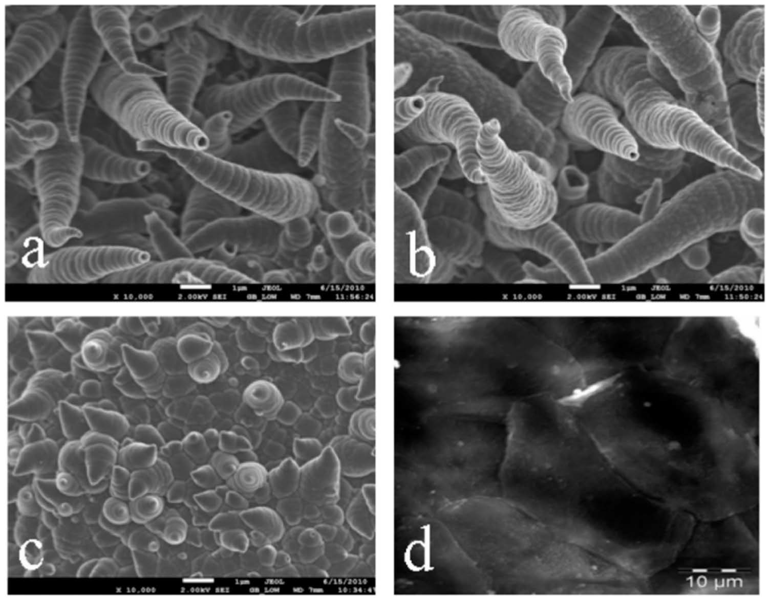 Materials 14 00281 g003