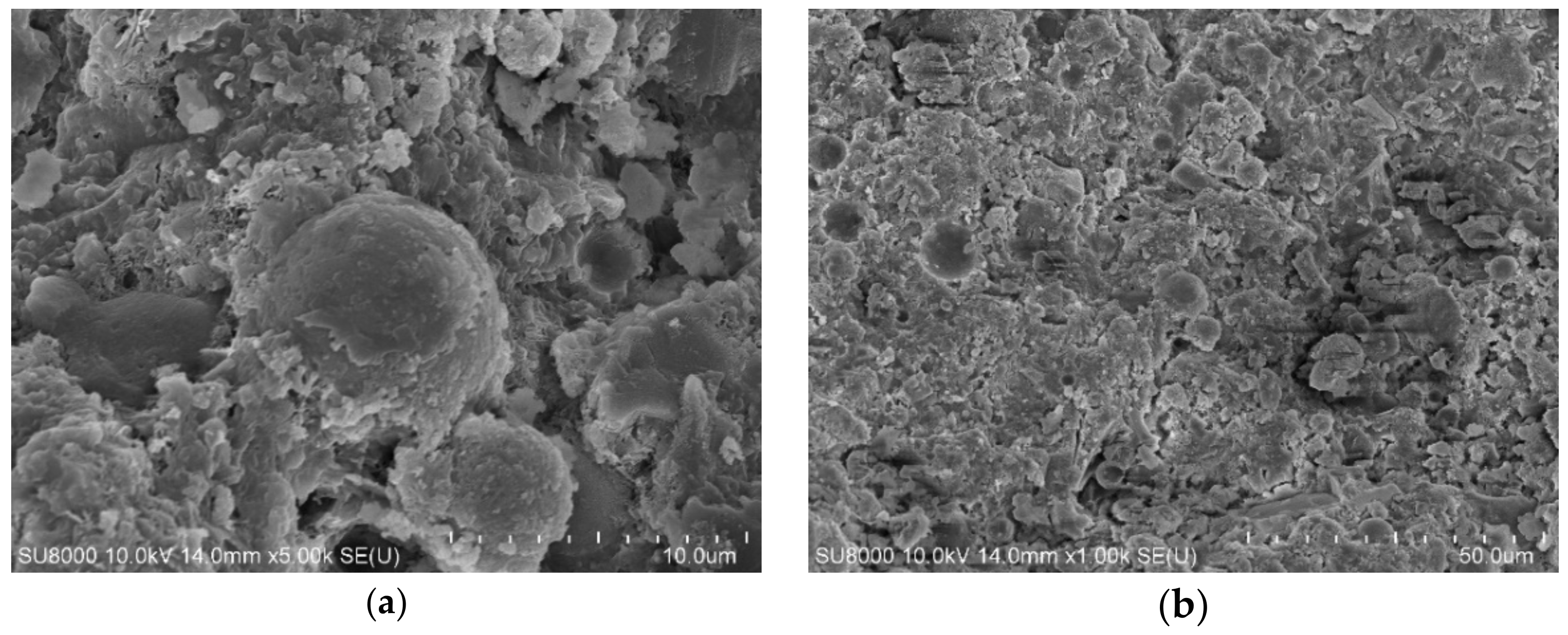 Materials 14 00283 g012