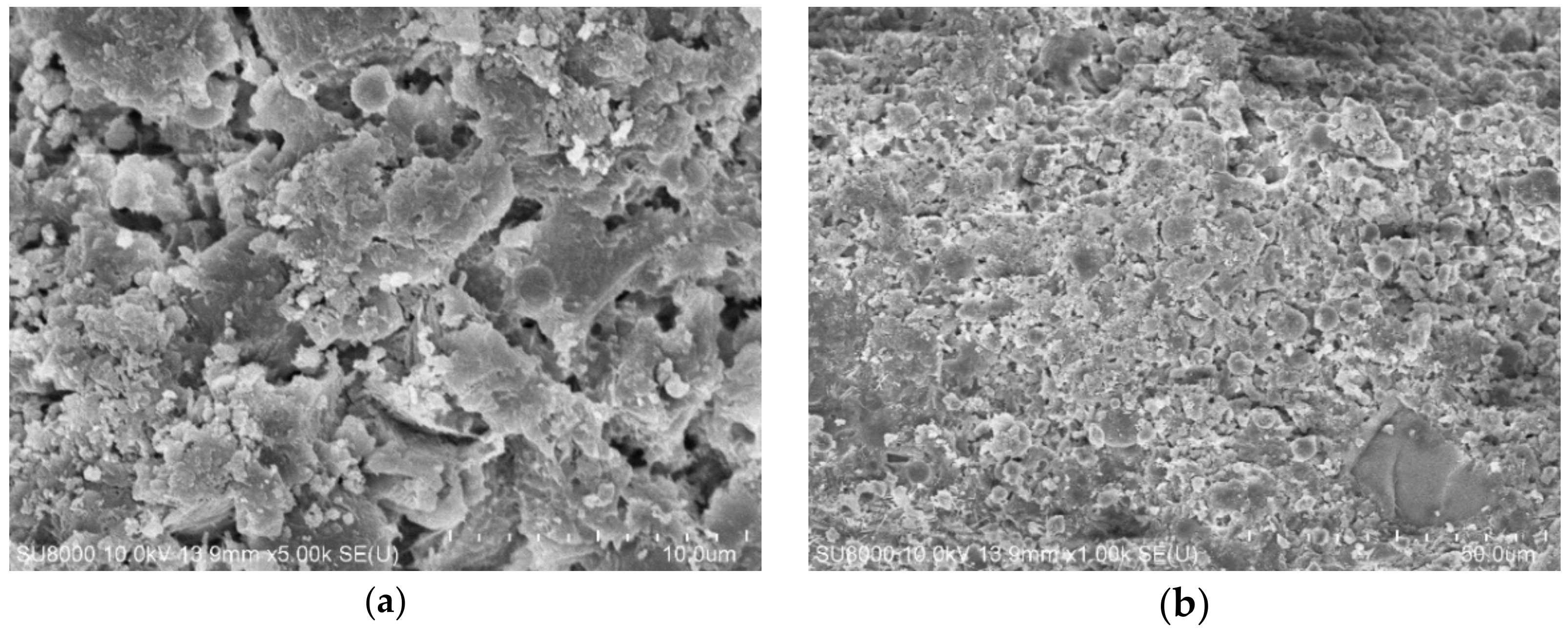 Materials 14 00283 g013