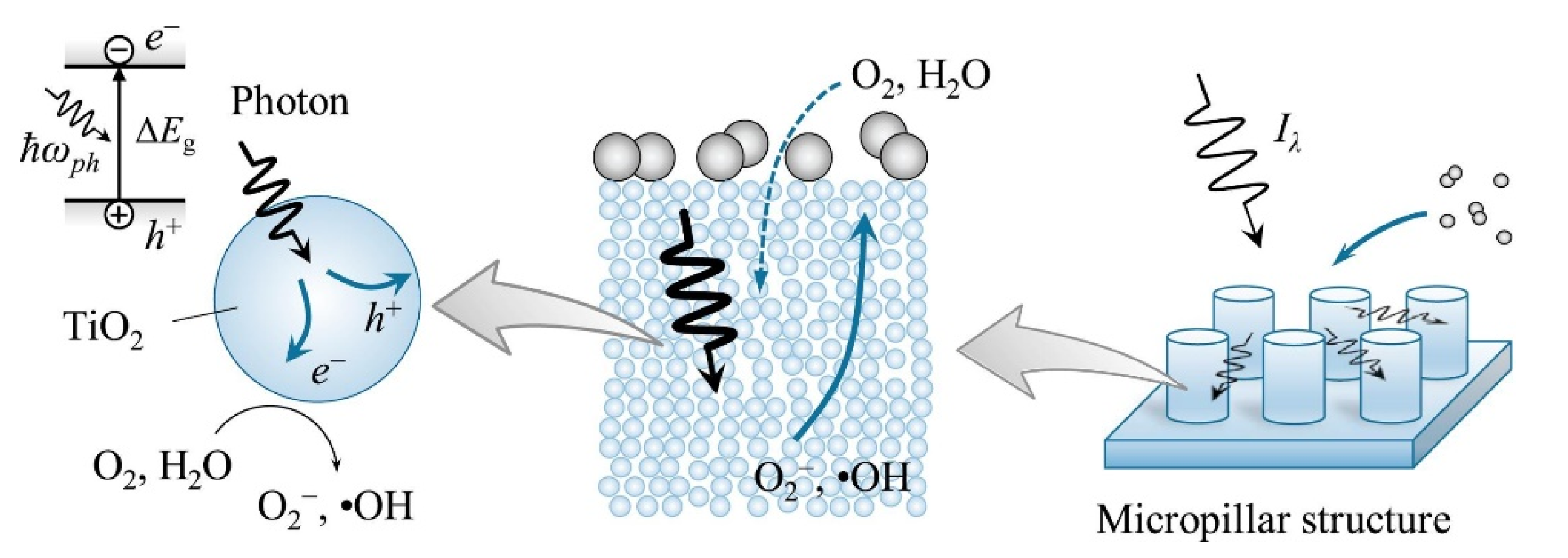 Materials 14 00299 g007