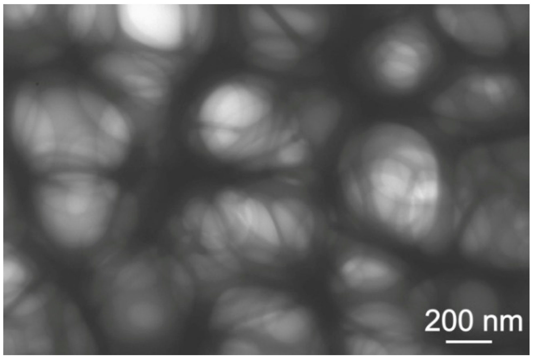 Materials 14 00312 g004