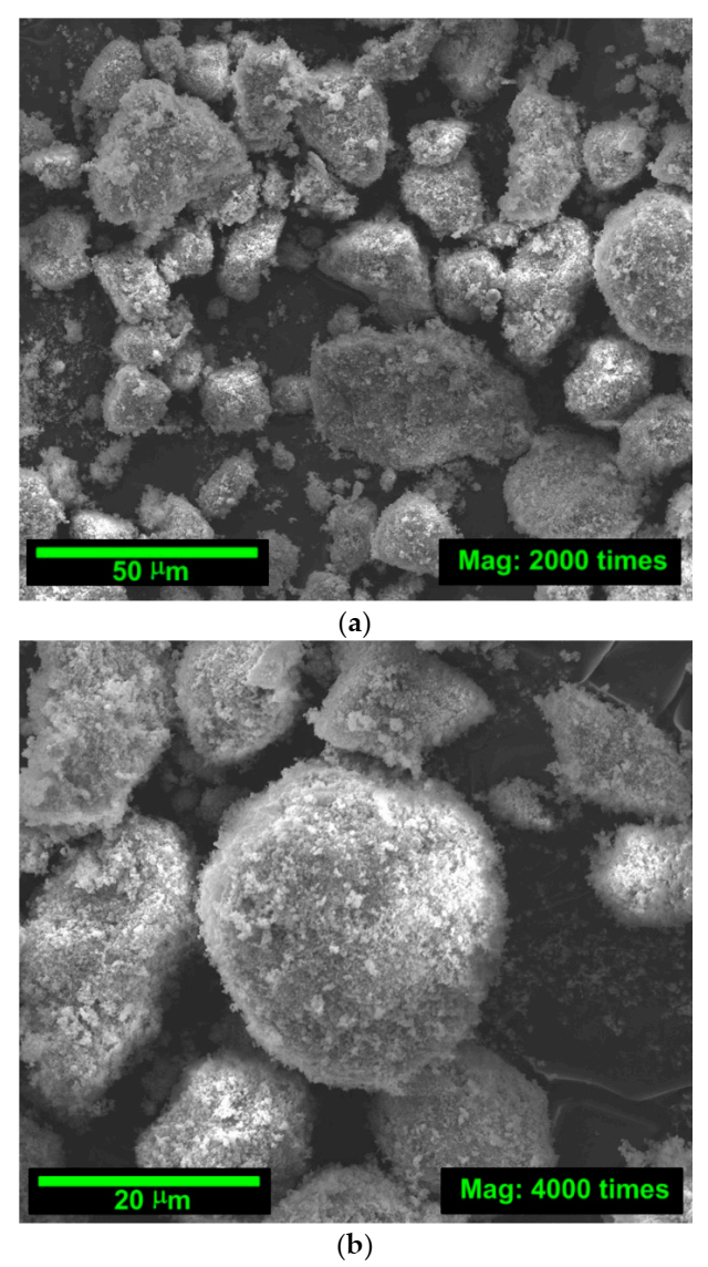 Materials 14 00319 g002a