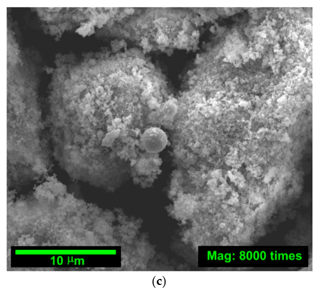 Materials 14 00319 g002b