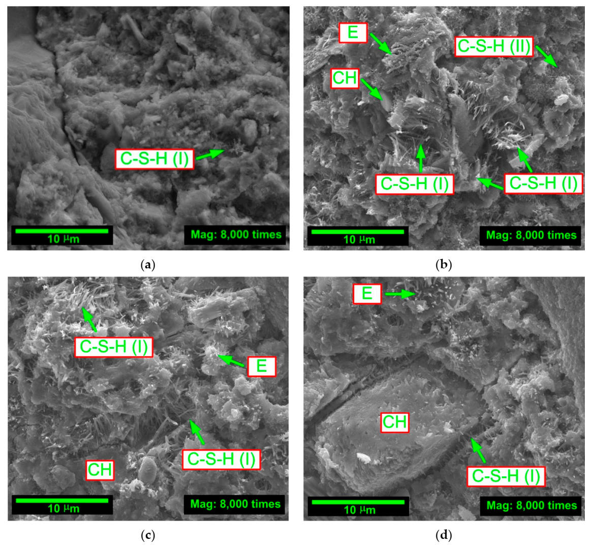 Materials 14 00319 g007