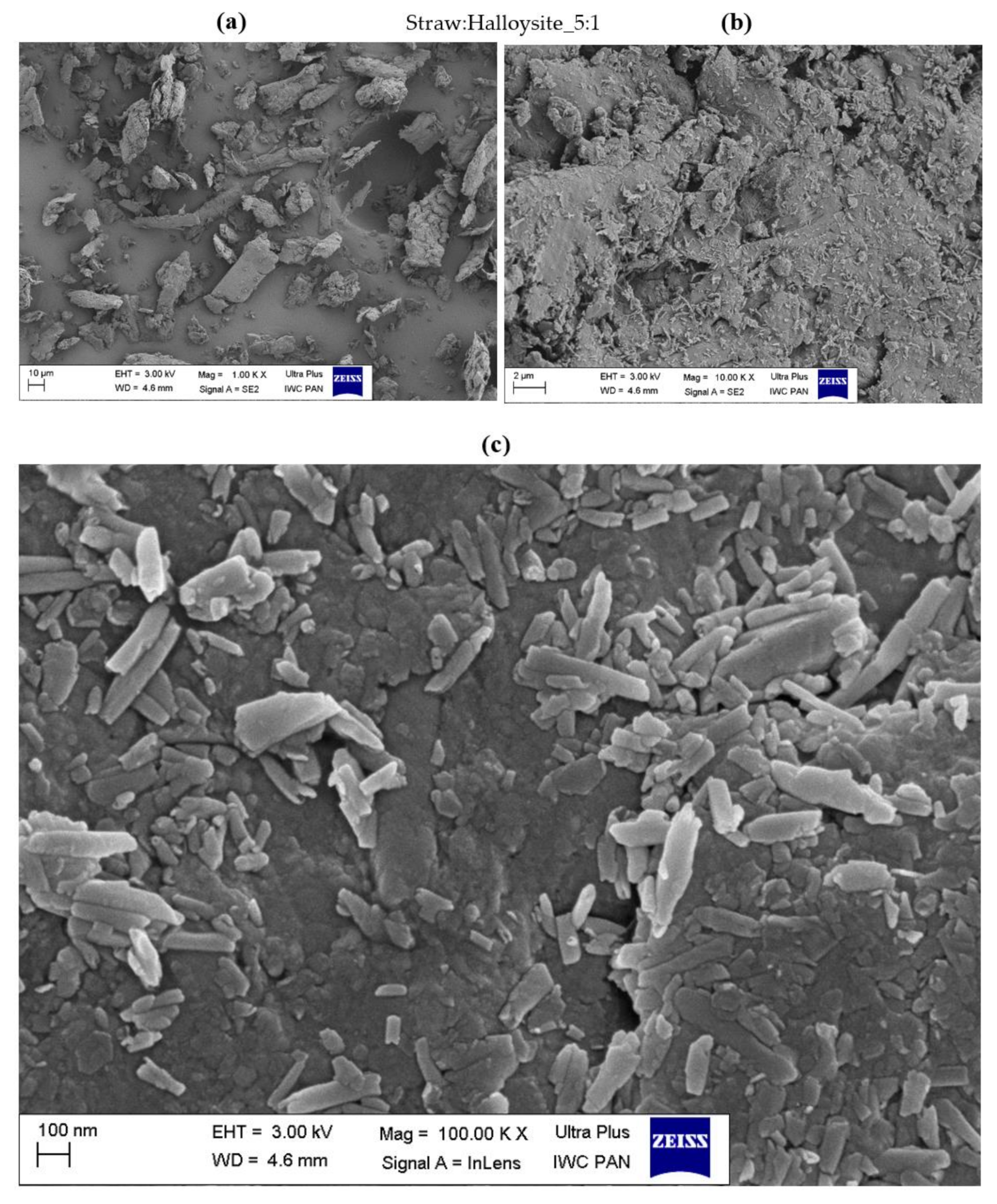 Materials 14 00321 g005