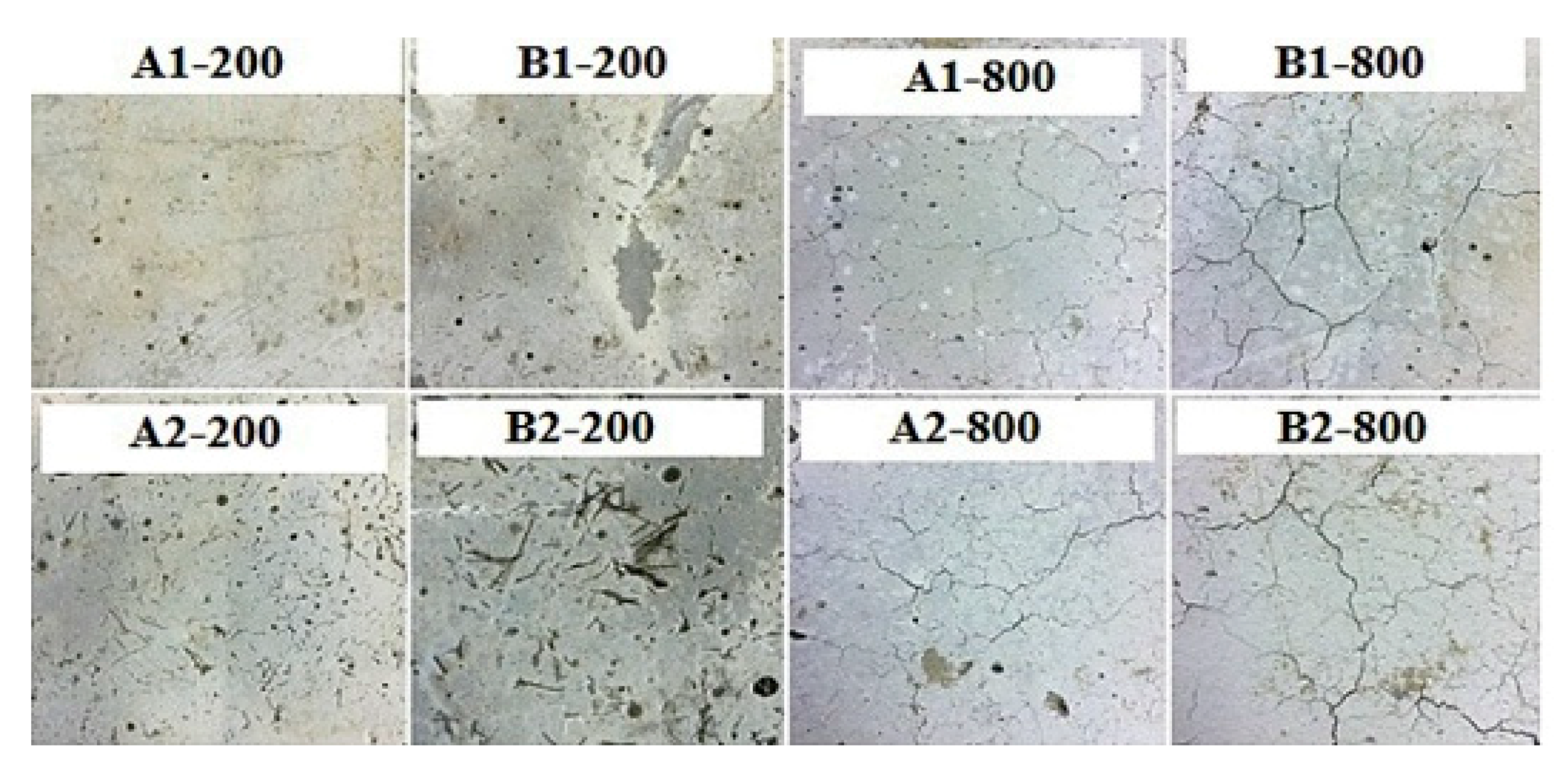 Materials 14 00332 g006