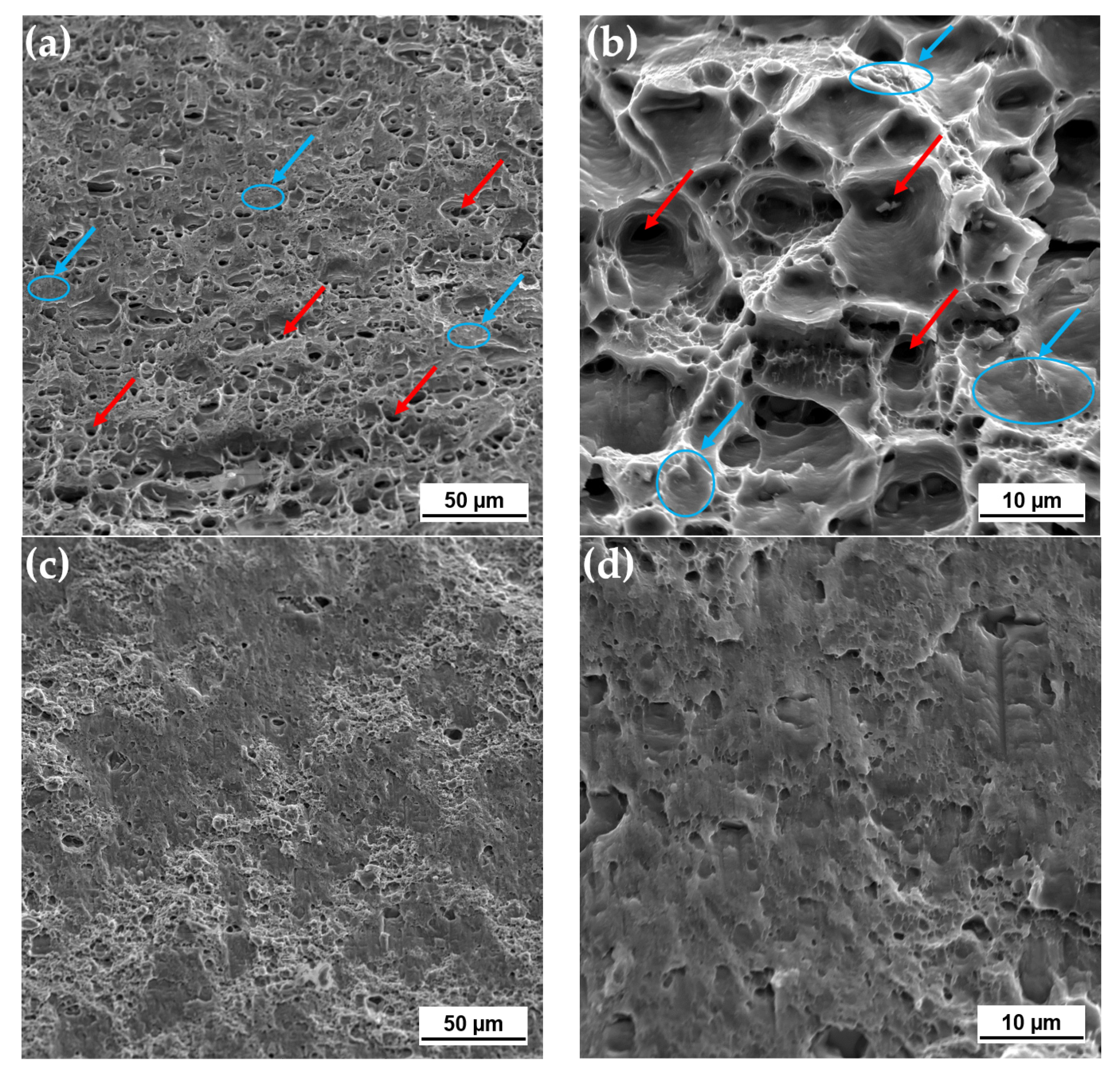 Materials 14 00347 g006a Materials 14 00347 g006a