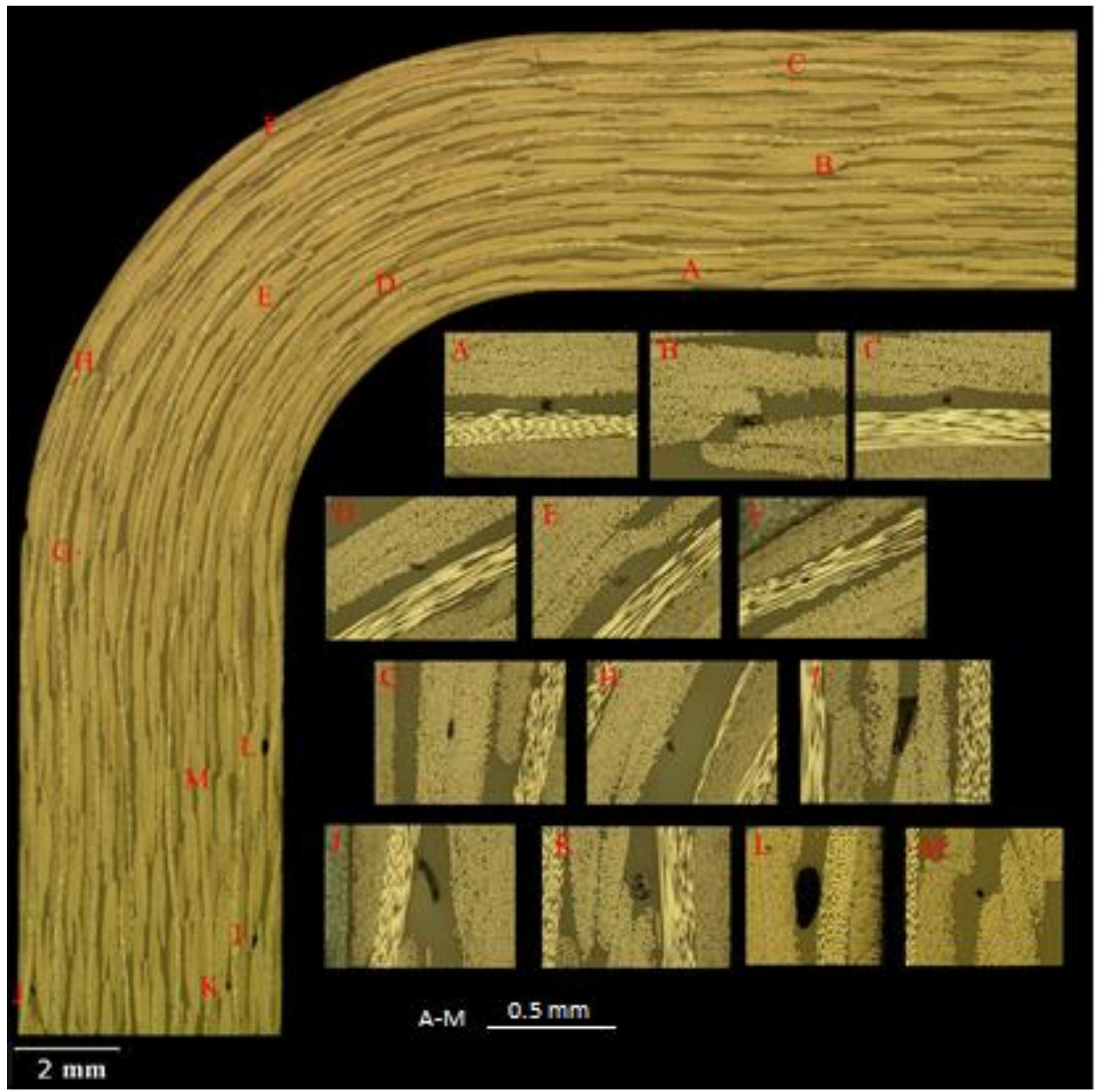 Materials 14 00352 g004