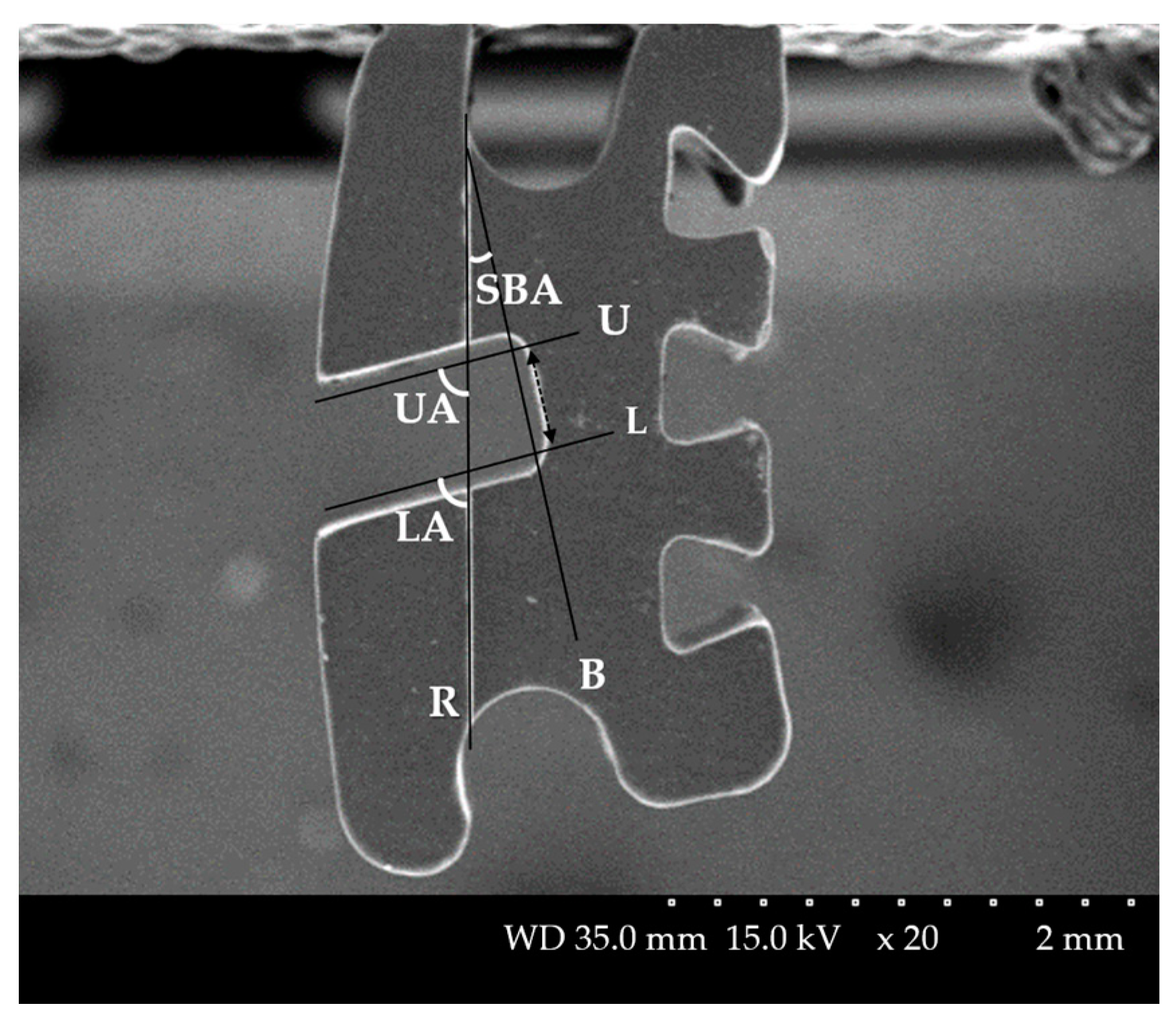Materials 14 00365 g001