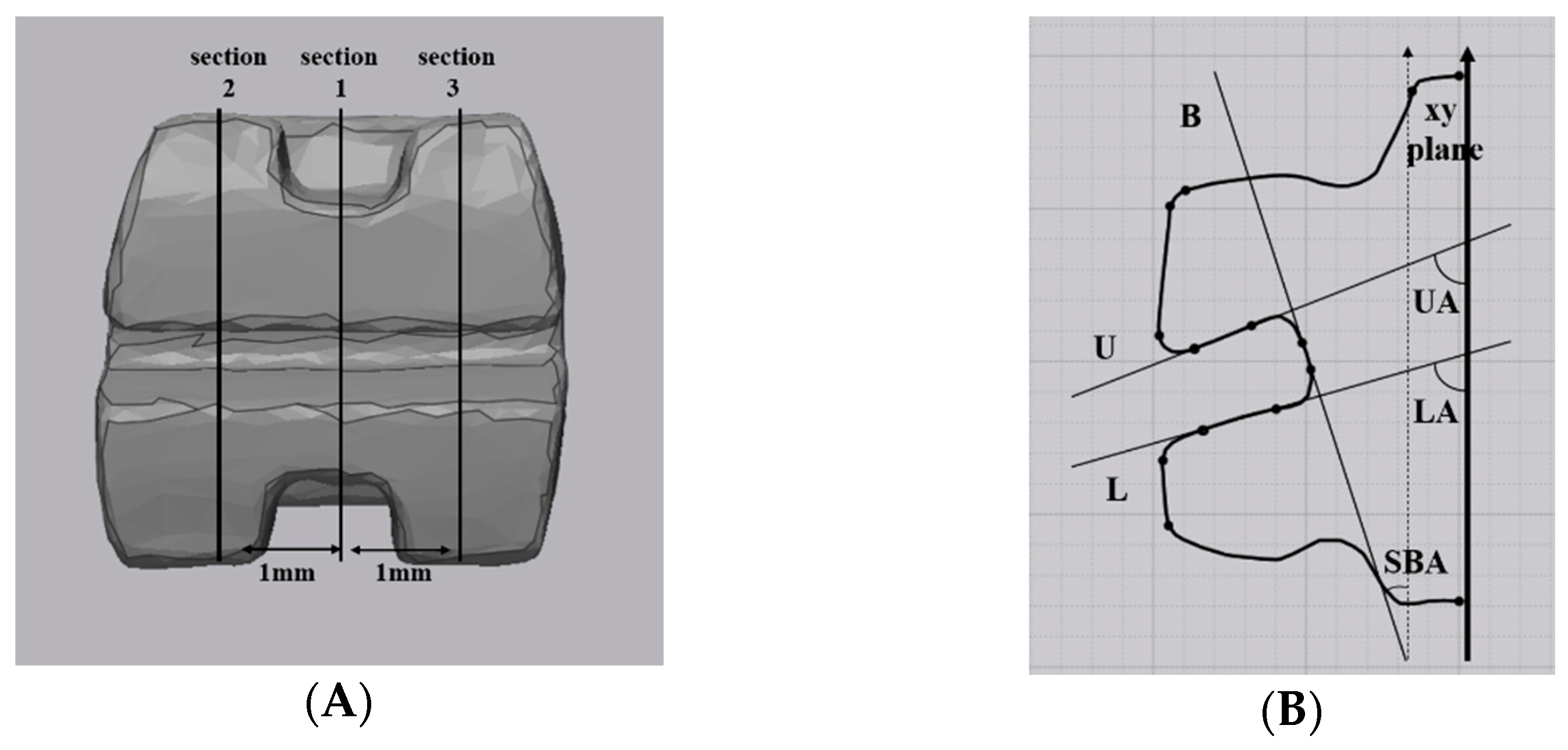 Materials 14 00365 g005