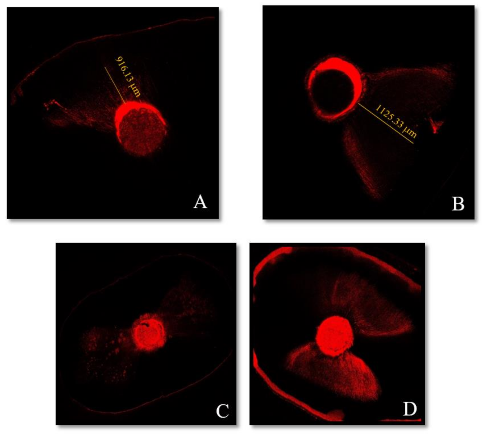 Materials 14 00372 g002