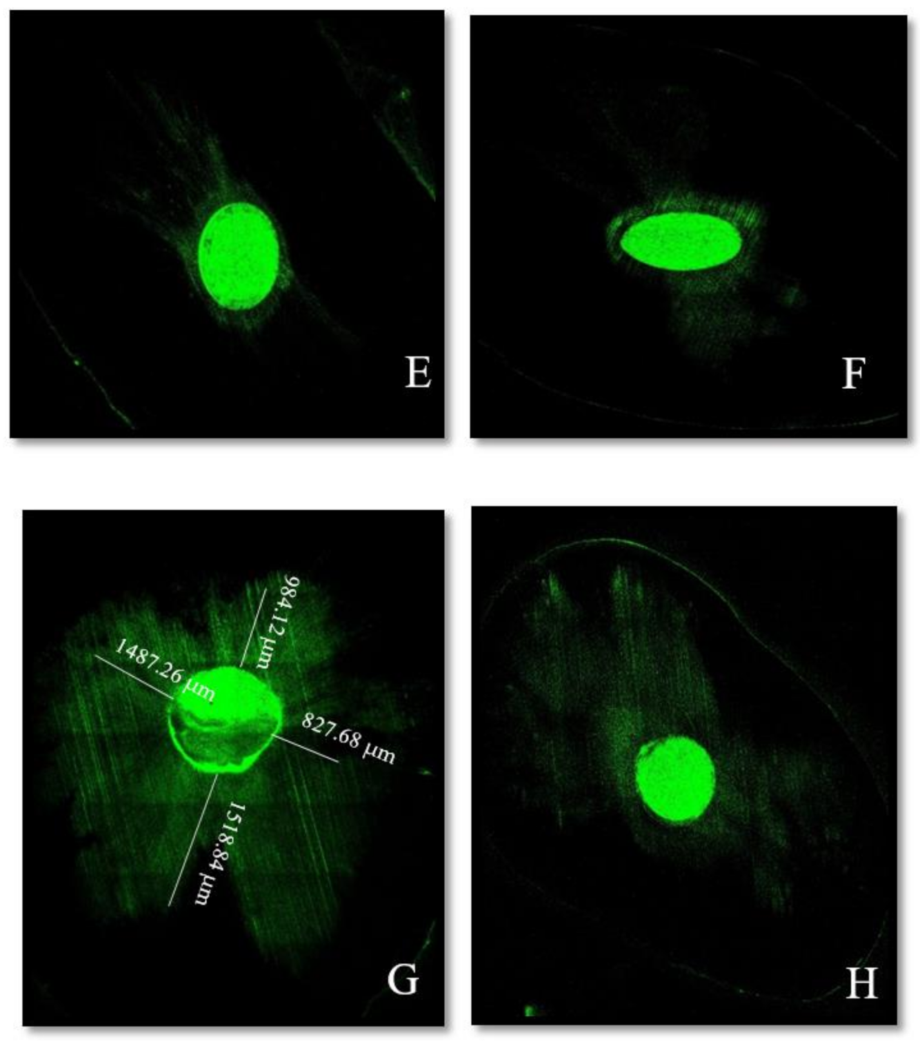 Materials 14 00372 g003