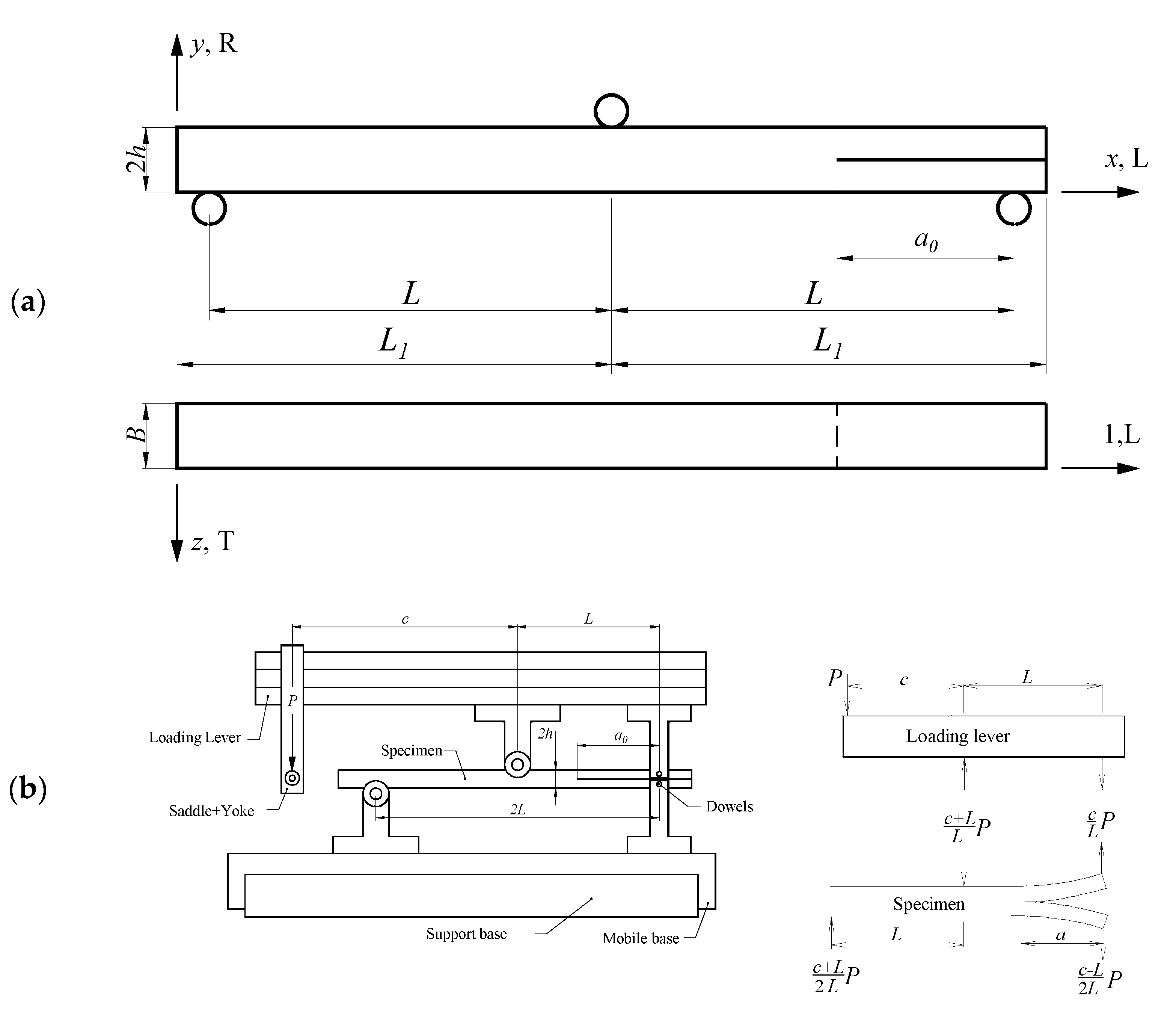 Materials 14 00374 g001