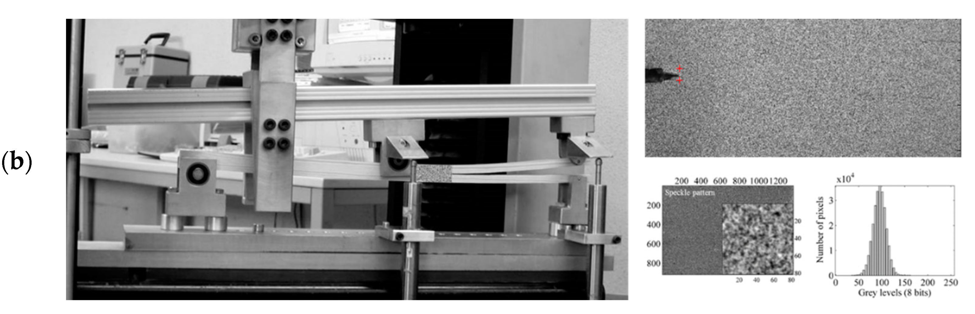 Materials 14 00374 g002b