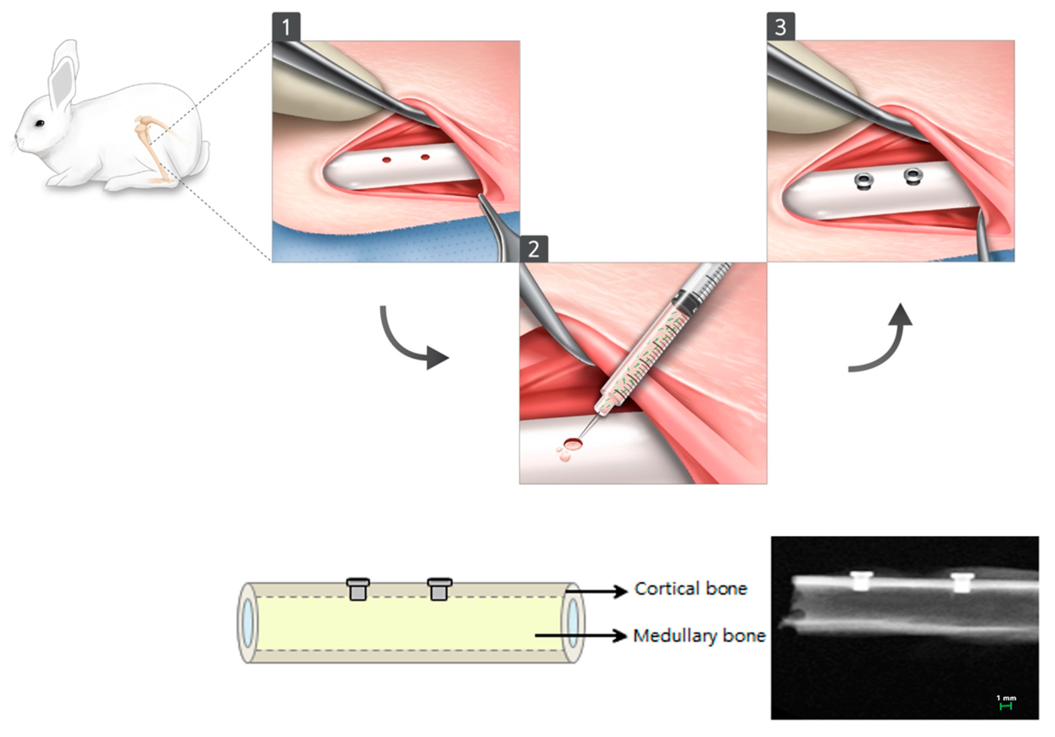 Materials 14 00381 g001
