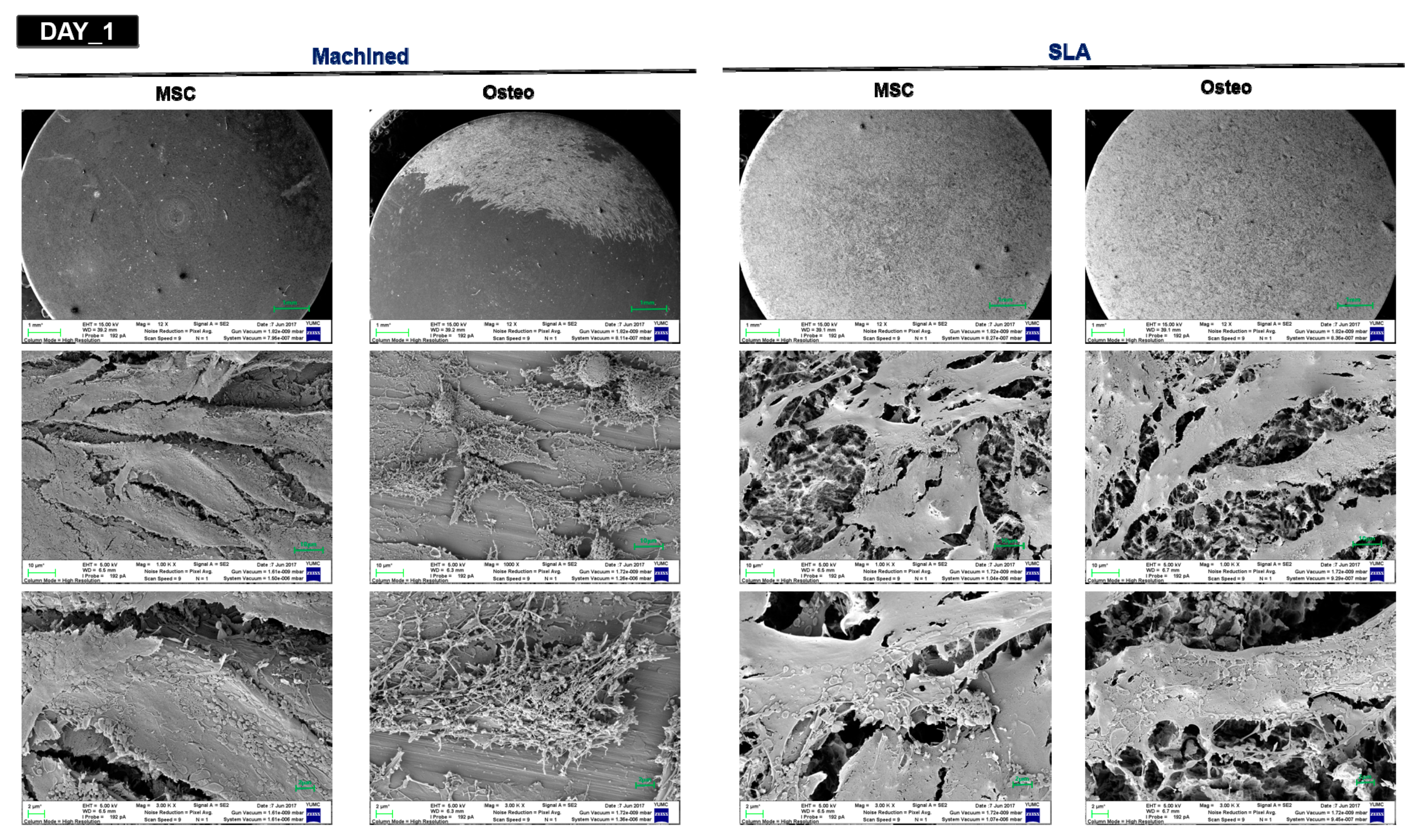 Materials 14 00381 g004a