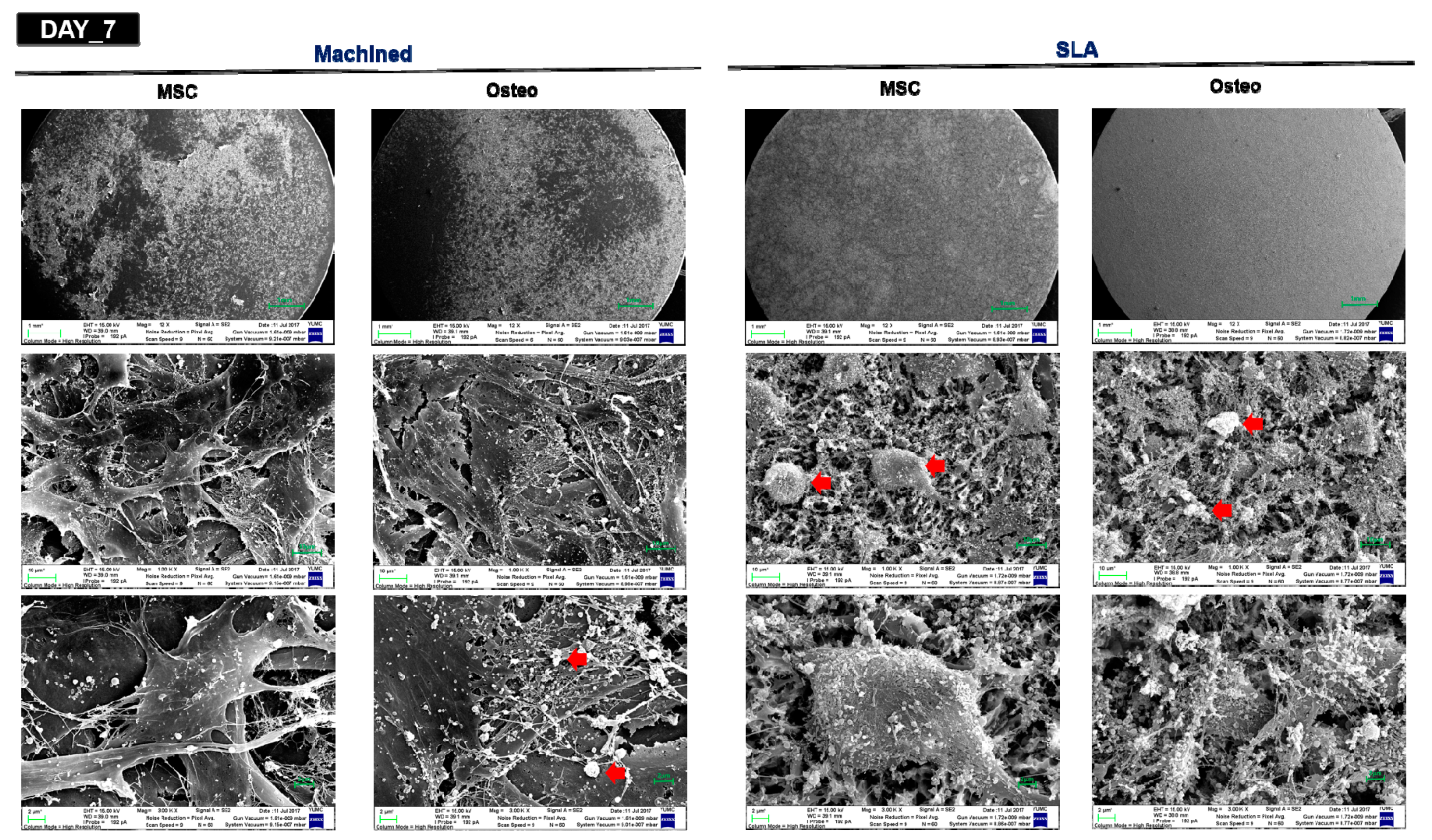 Materials 14 00381 g004c