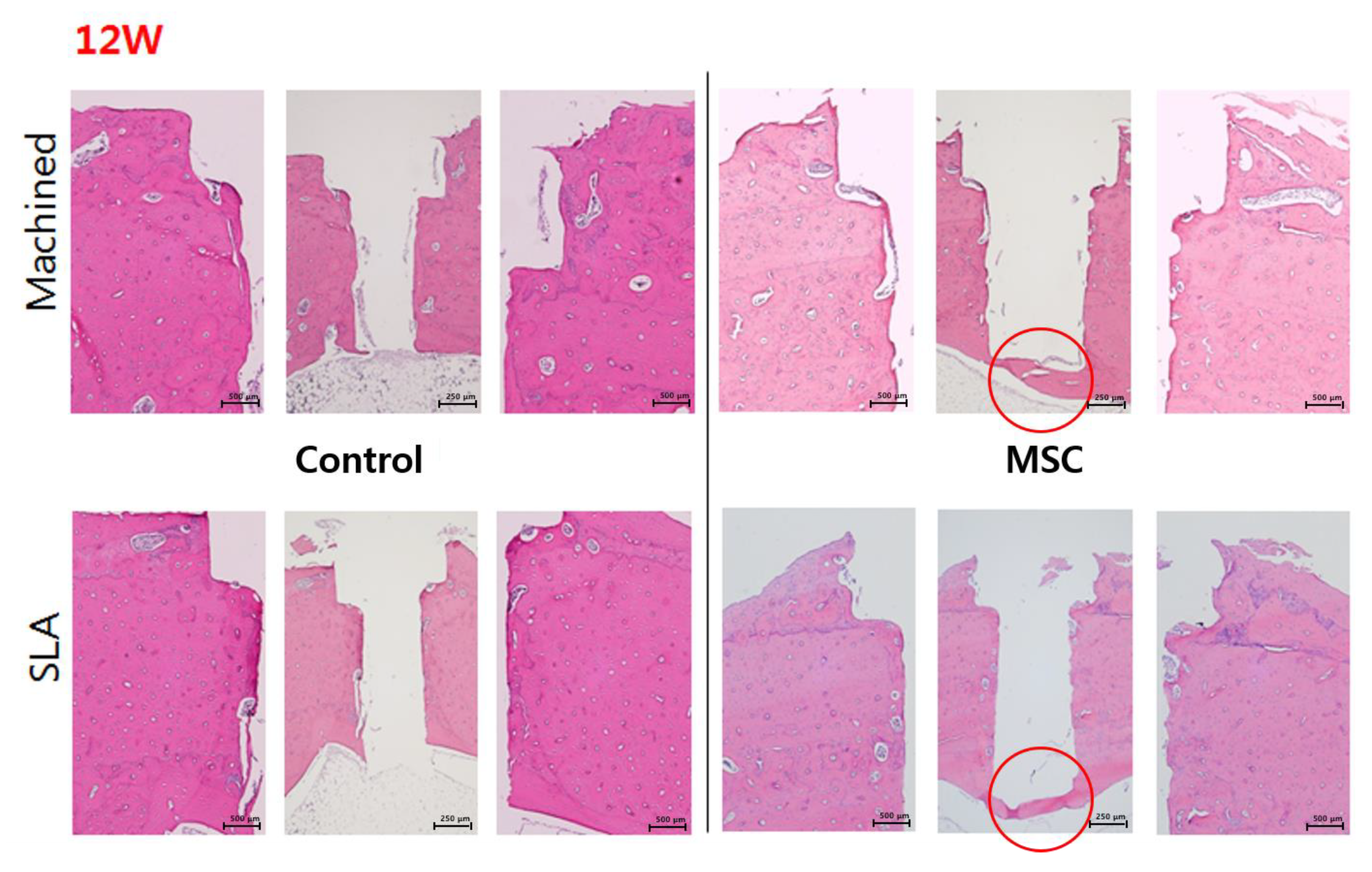 Materials 14 00381 g007b