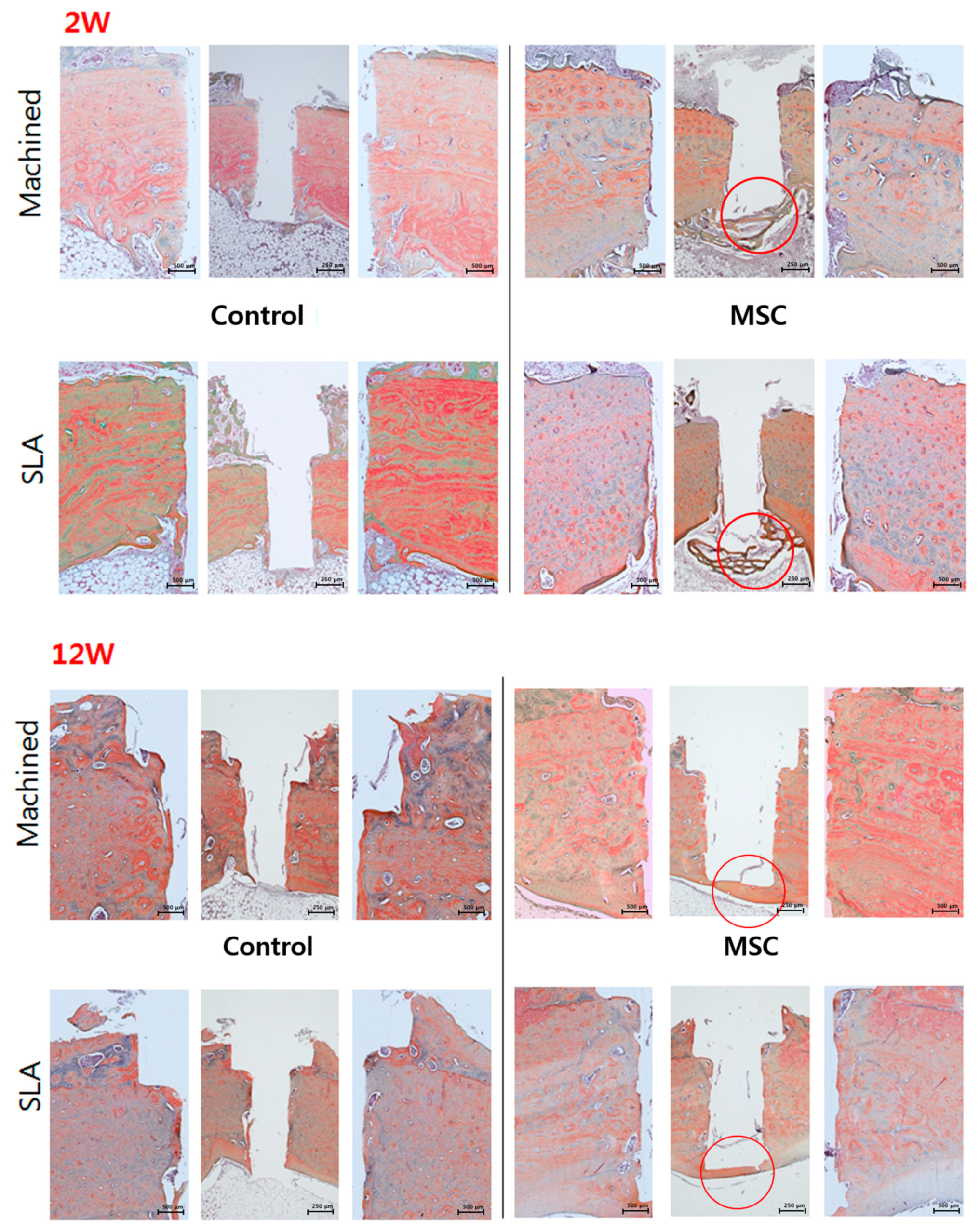 Materials 14 00381 g009