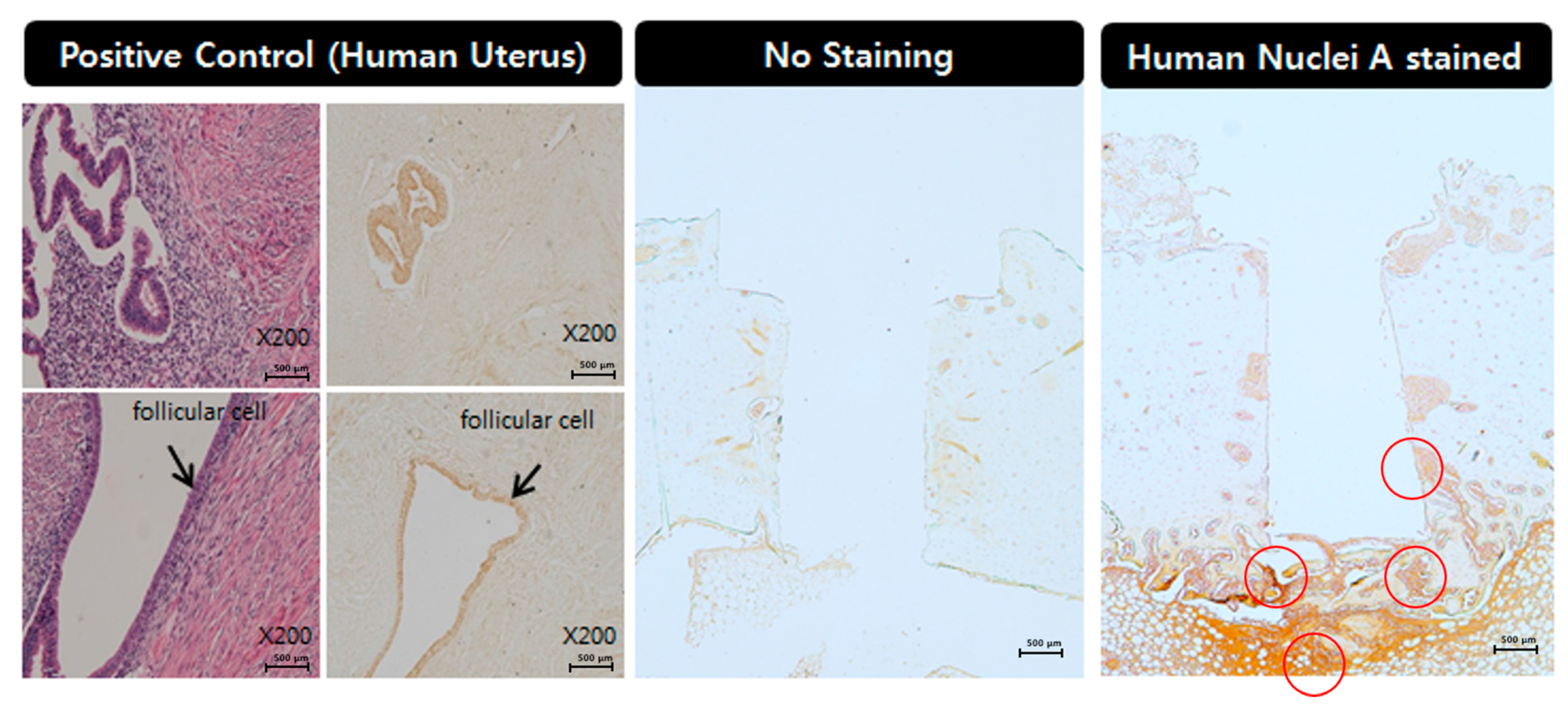 Materials 14 00381 g010a