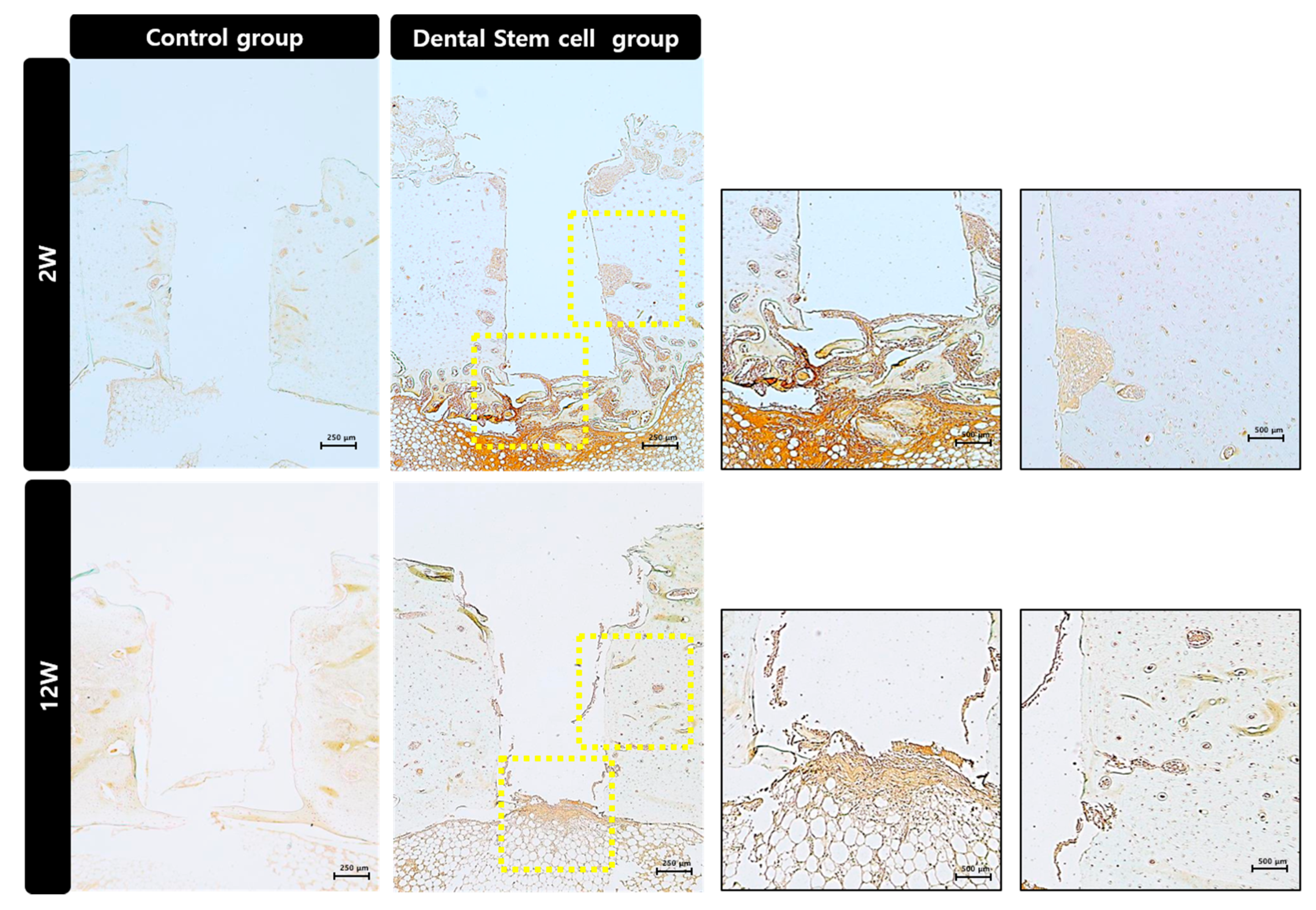 Materials 14 00381 g010b