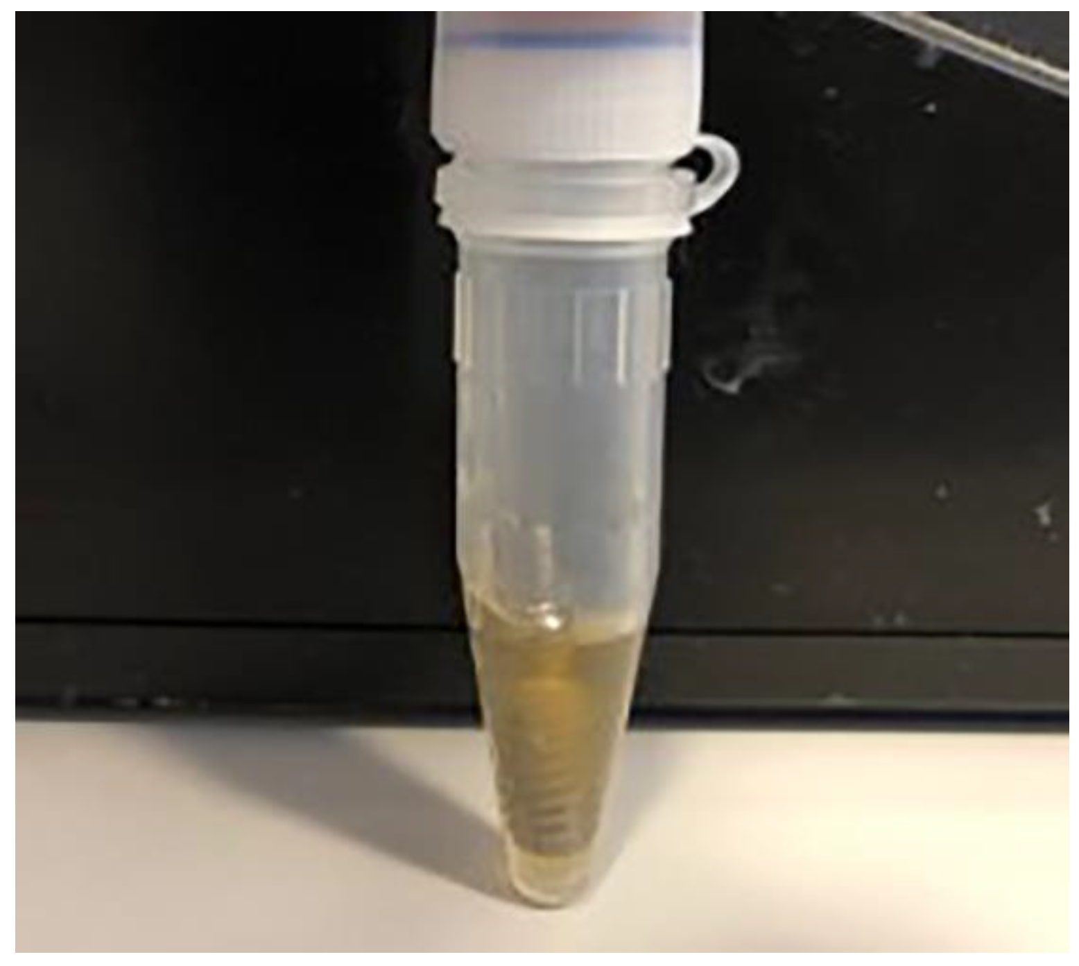 Materials 14 00385 g007