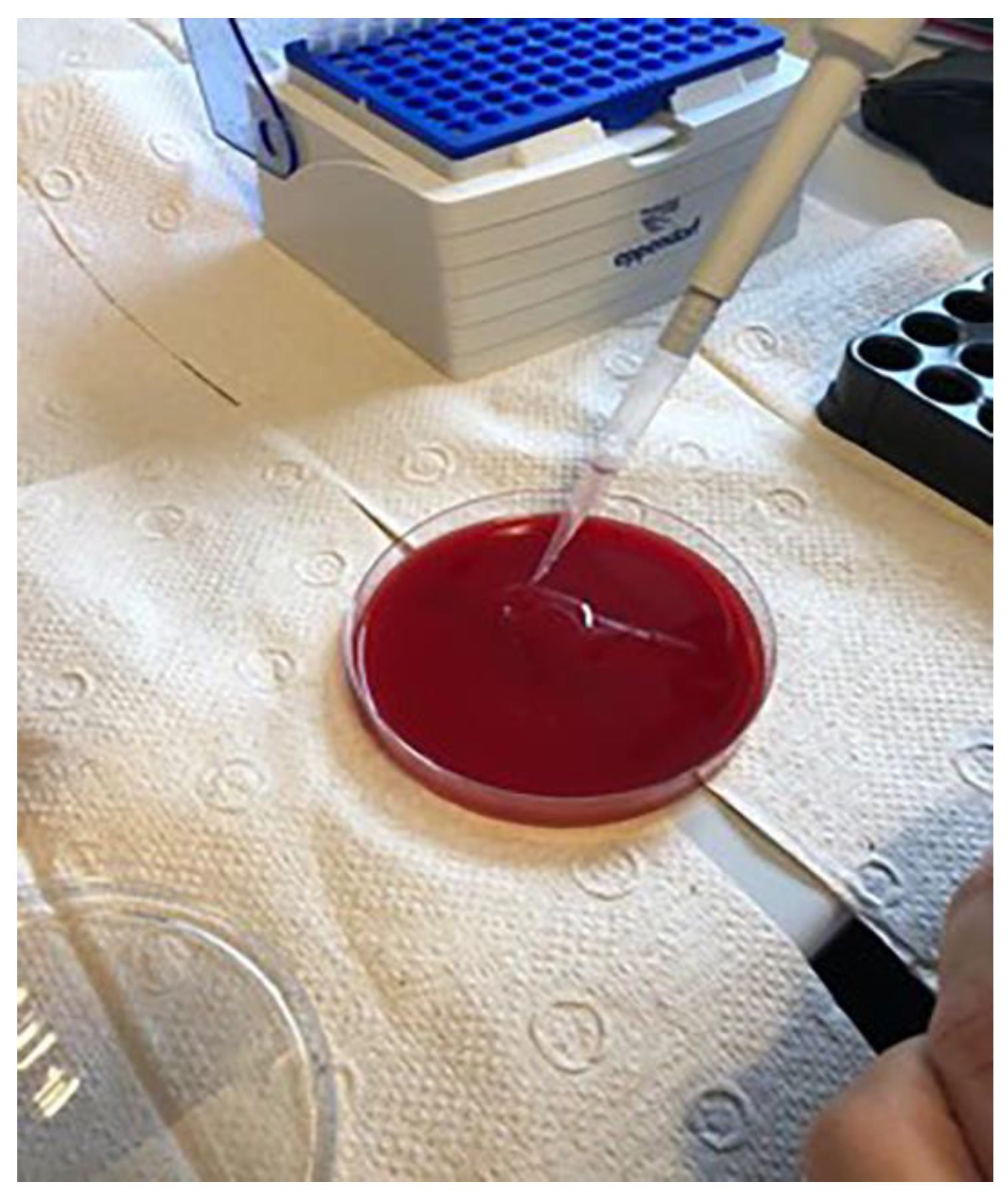 Materials 14 00385 g010