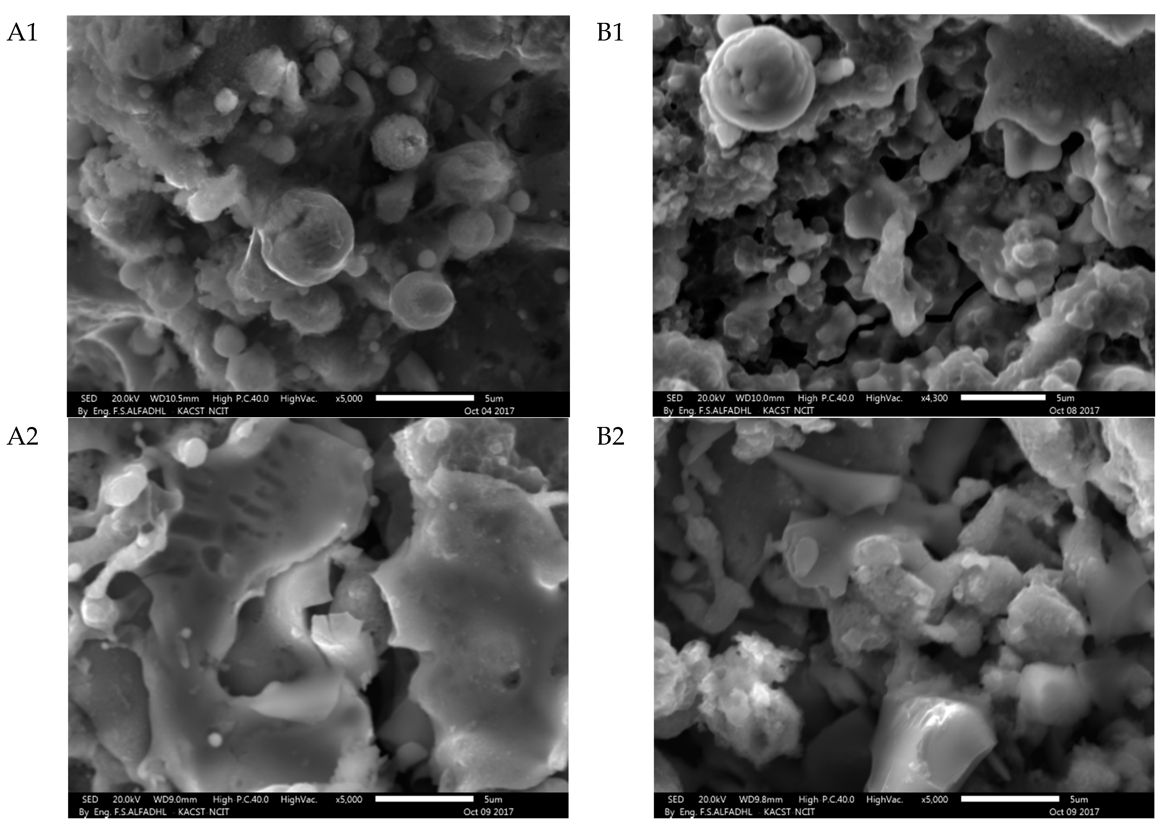 Materials 14 00392 g006