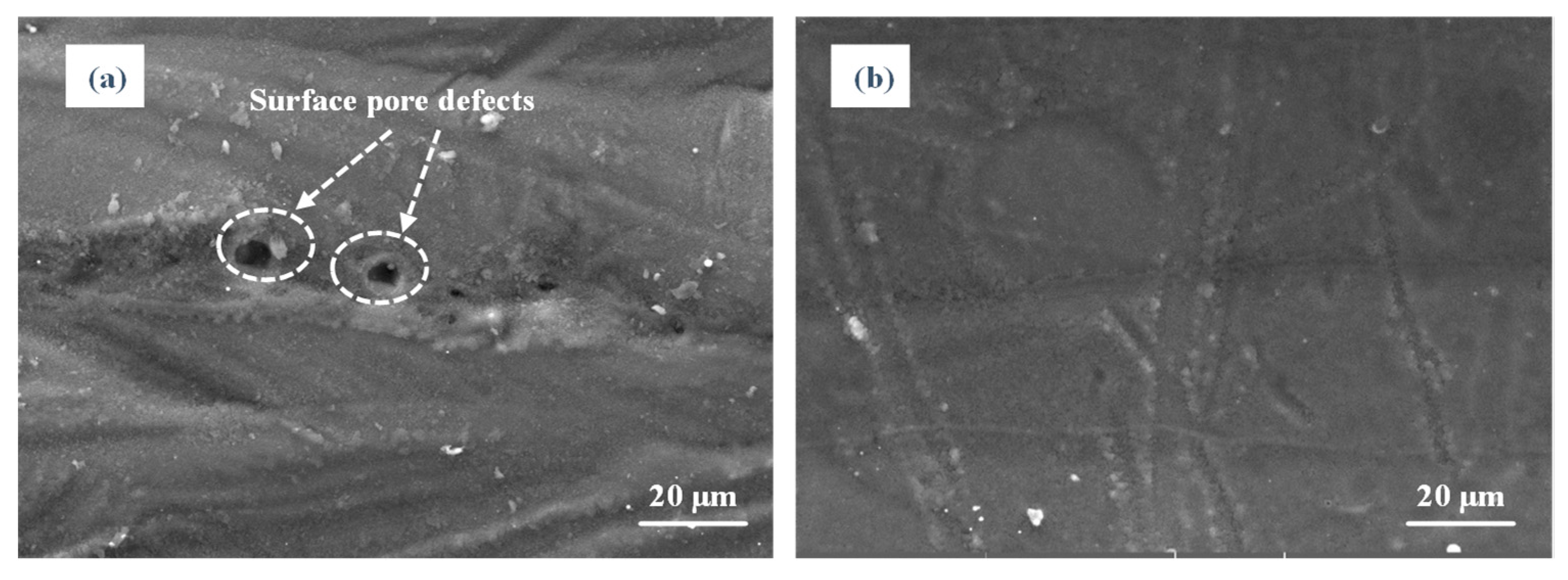 Materials 14 00393 g009