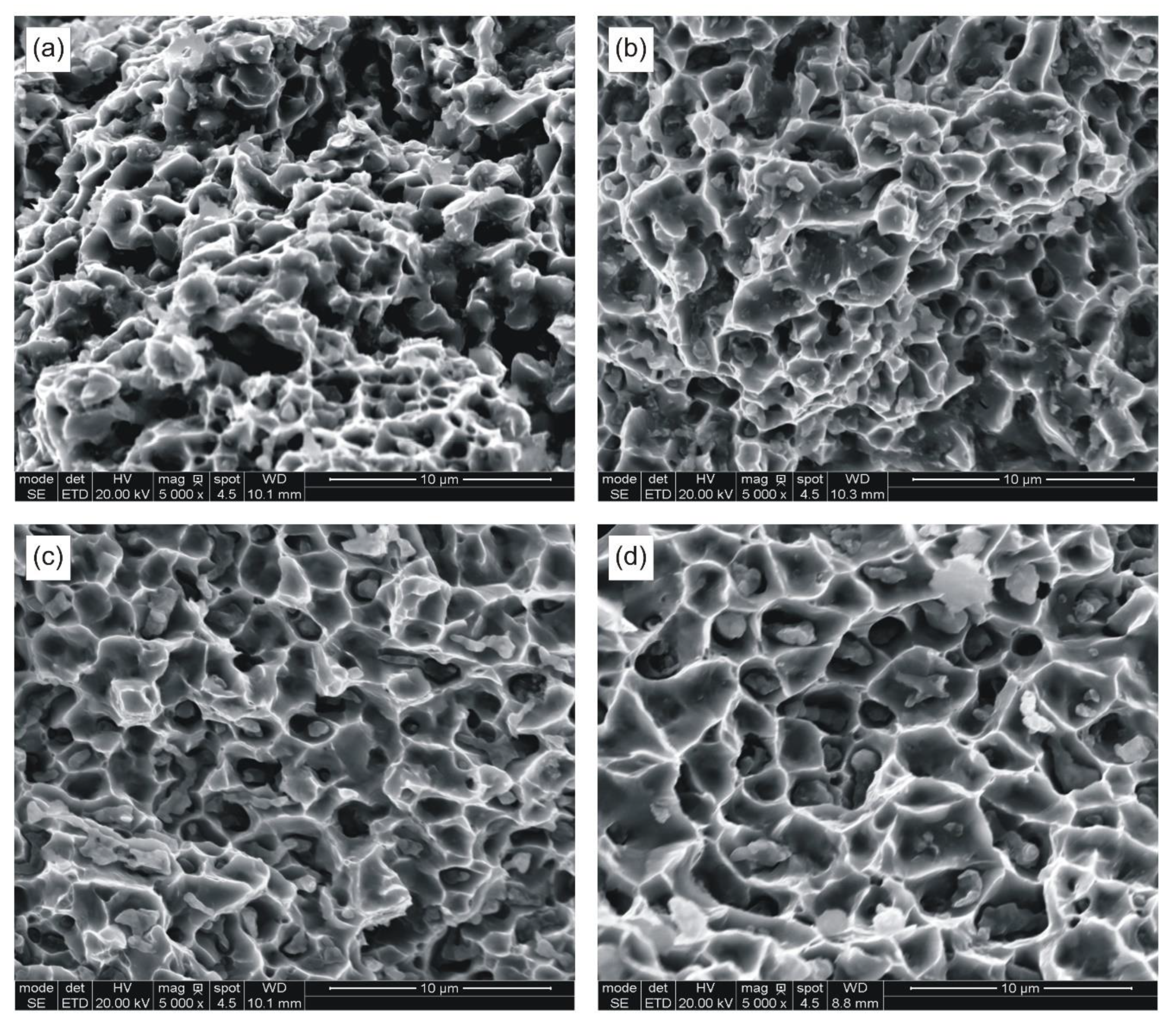 Materials 14 00406 g004 Materials 14 00406 g004