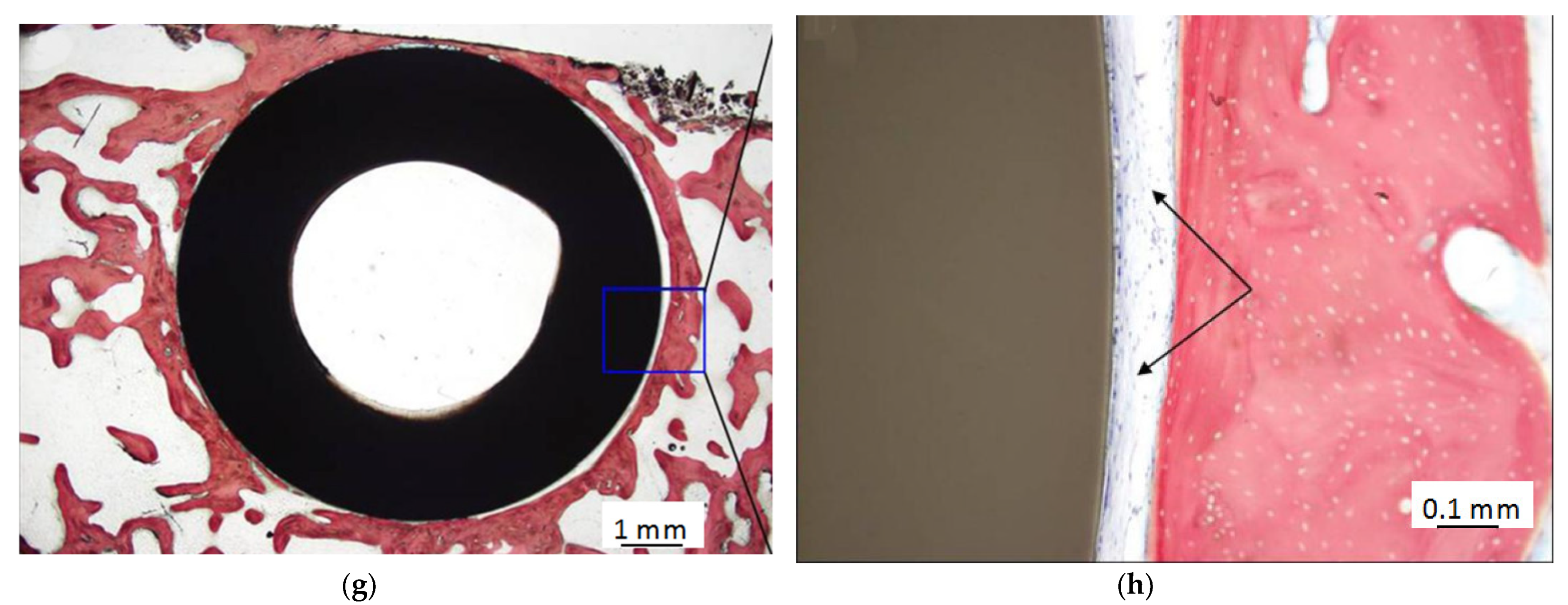 Materials 14 00408 g005b