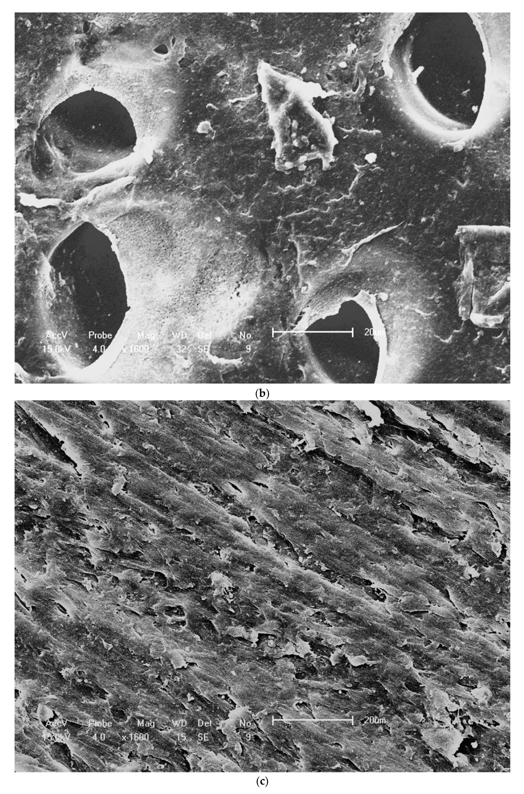 Materials 14 00408 g007b