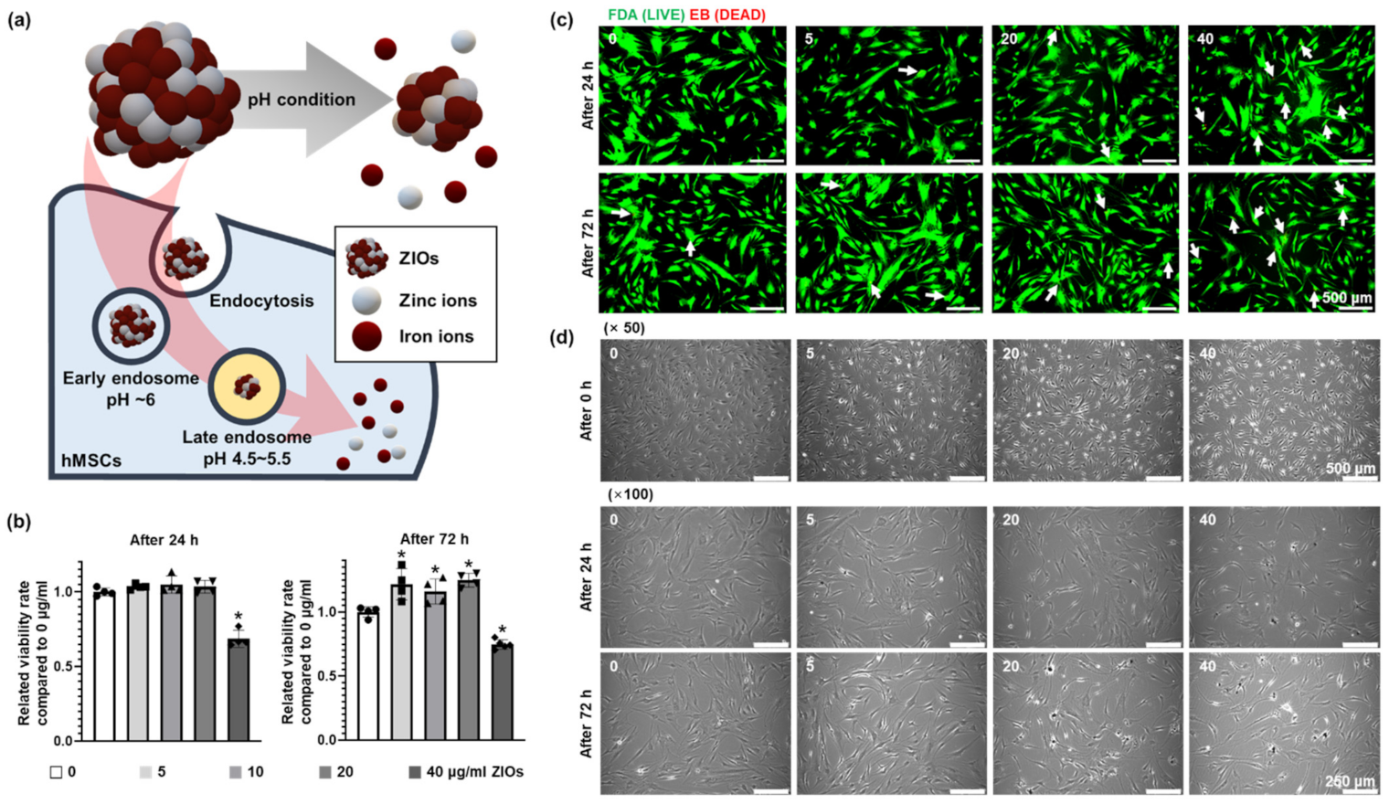Materials 14 00412 g002