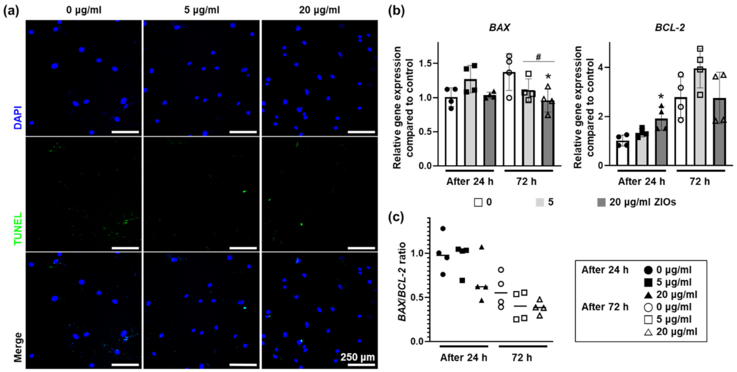 Materials 14 00412 g003