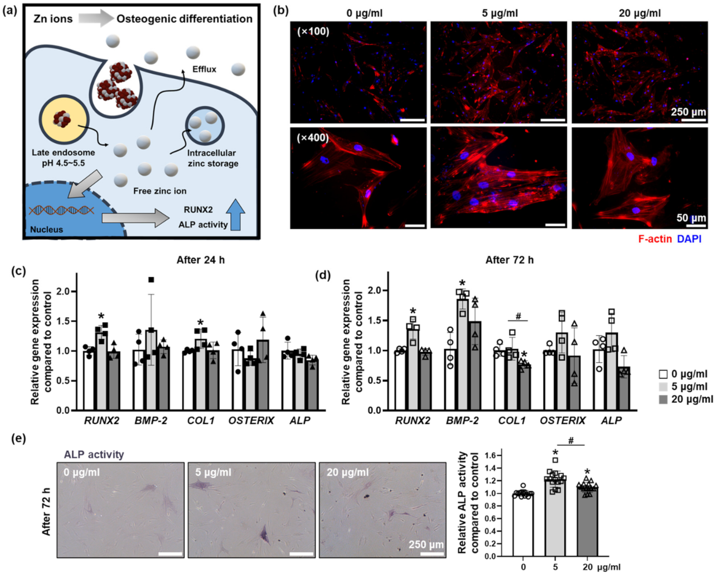 Materials 14 00412 g004