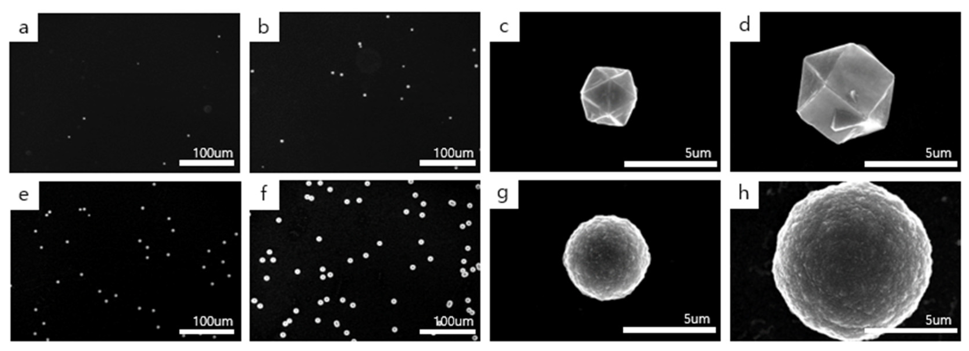 Materials 14 00426 g002