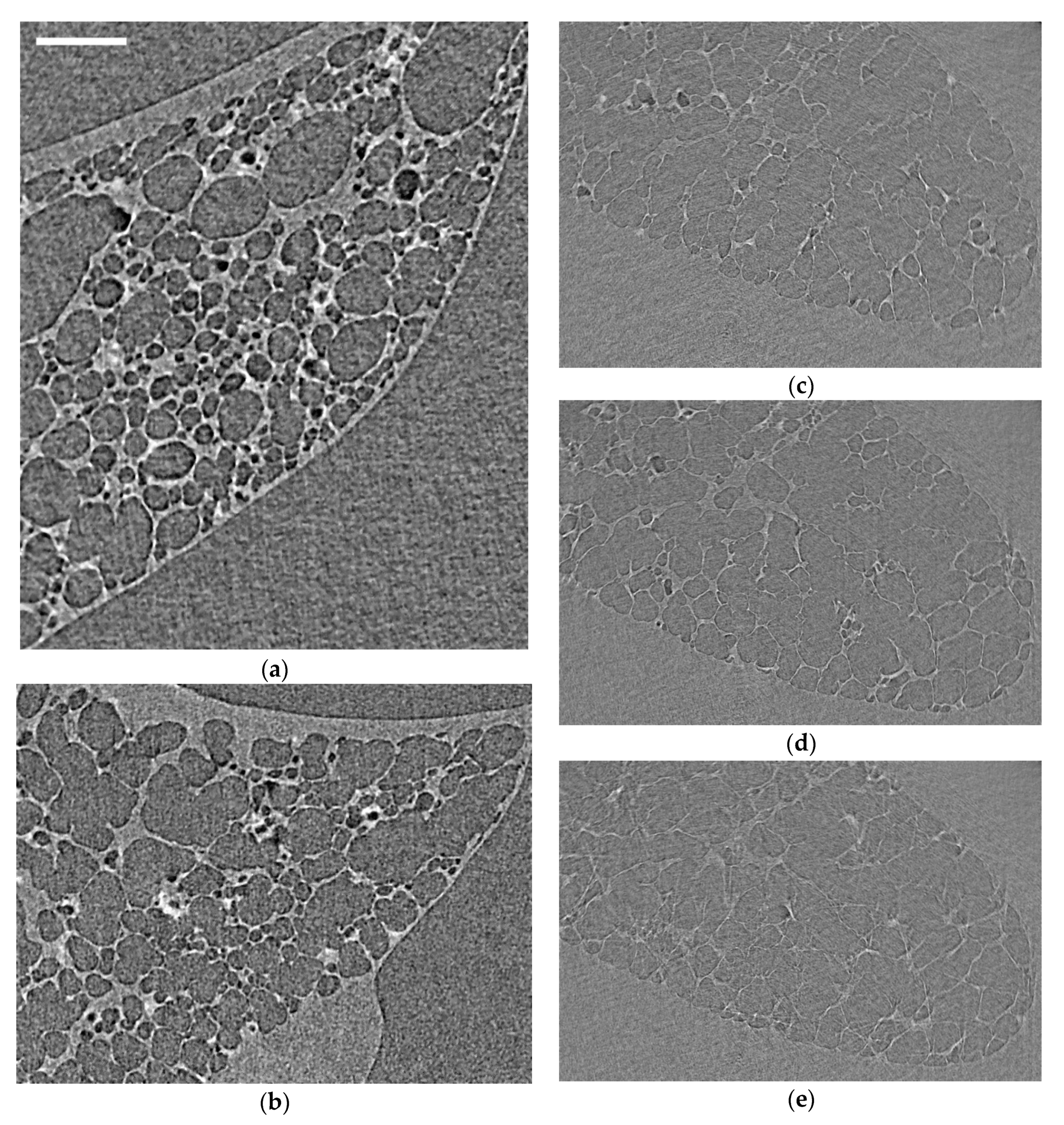 Materials 14 00439 g003