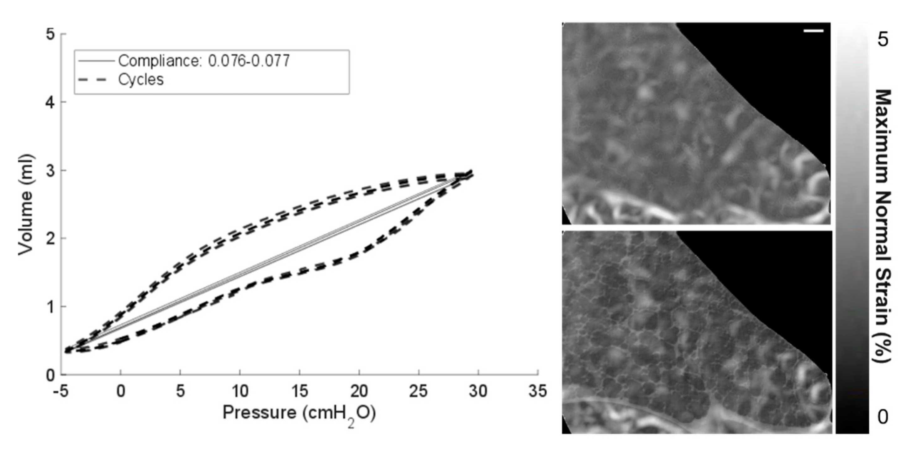Materials 14 00439 g004