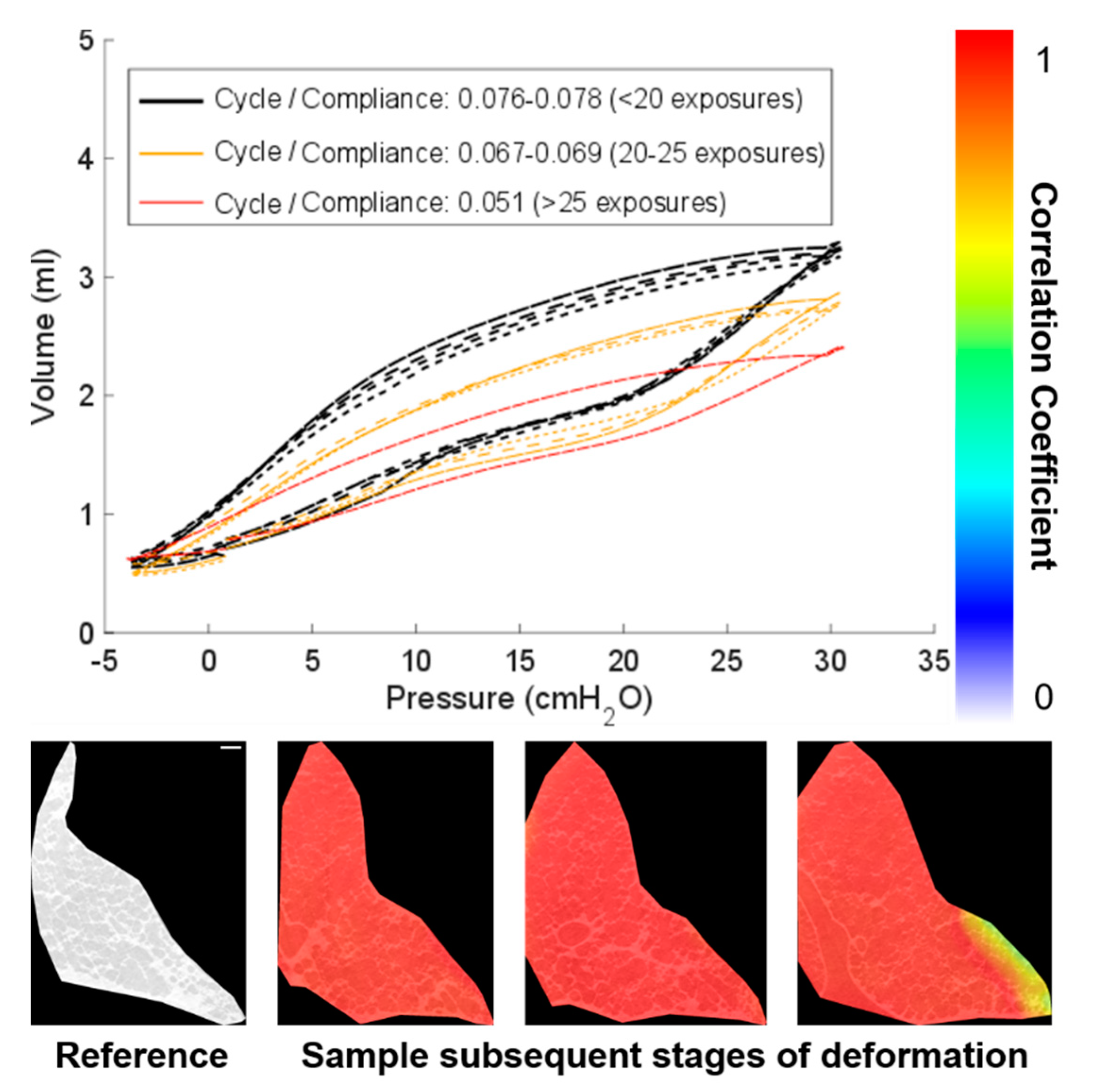 Materials 14 00439 g005