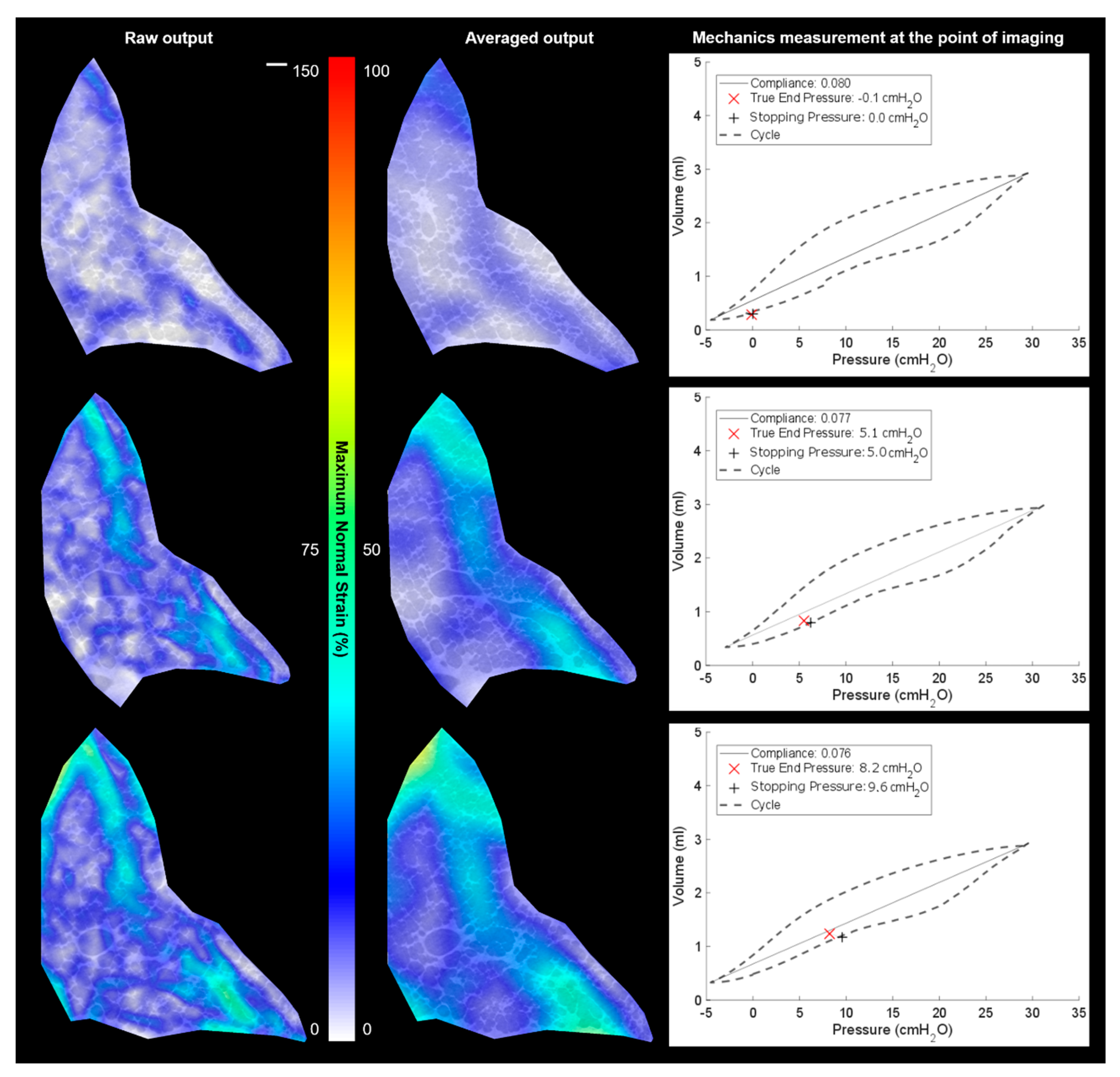 Materials 14 00439 g006