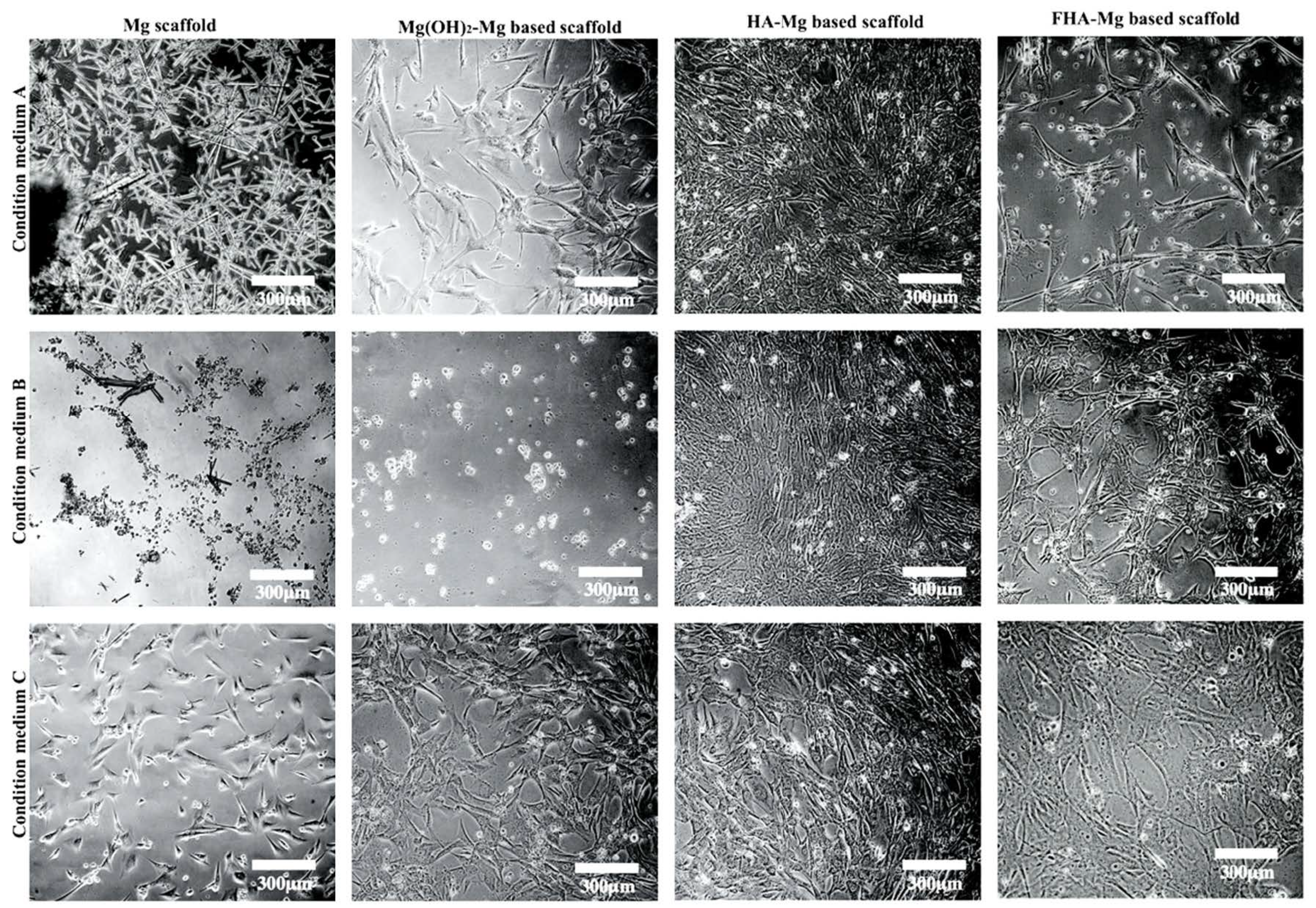 Materials 14 00441 g004