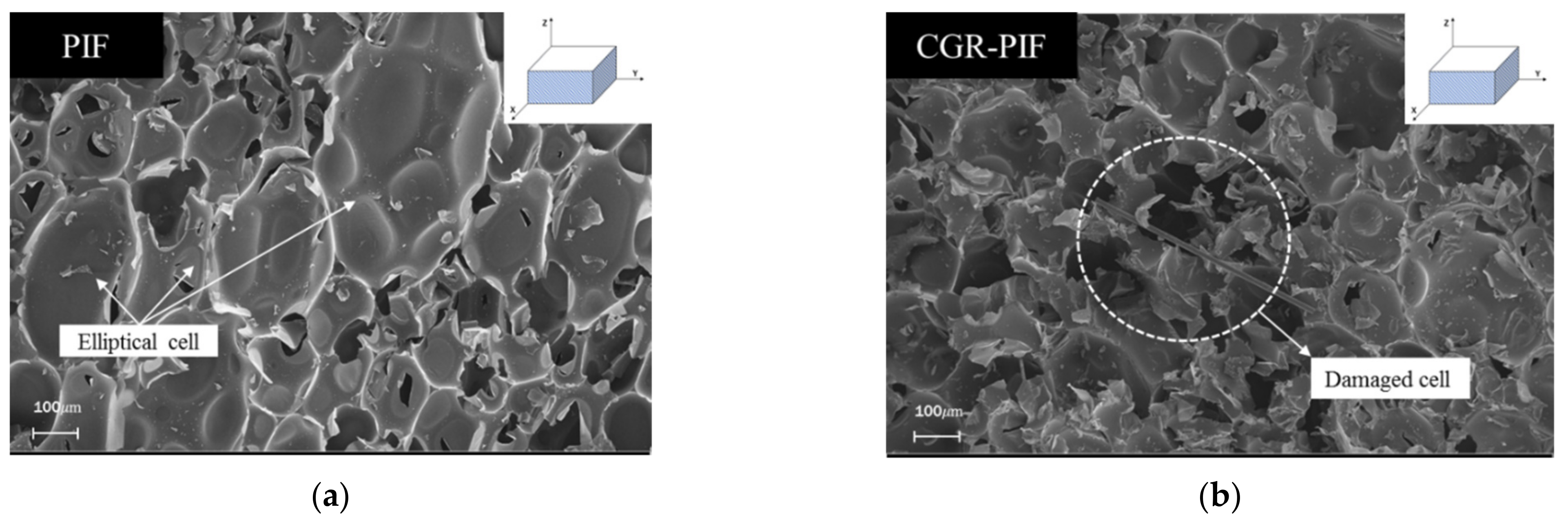 Materials 14 00446 g007