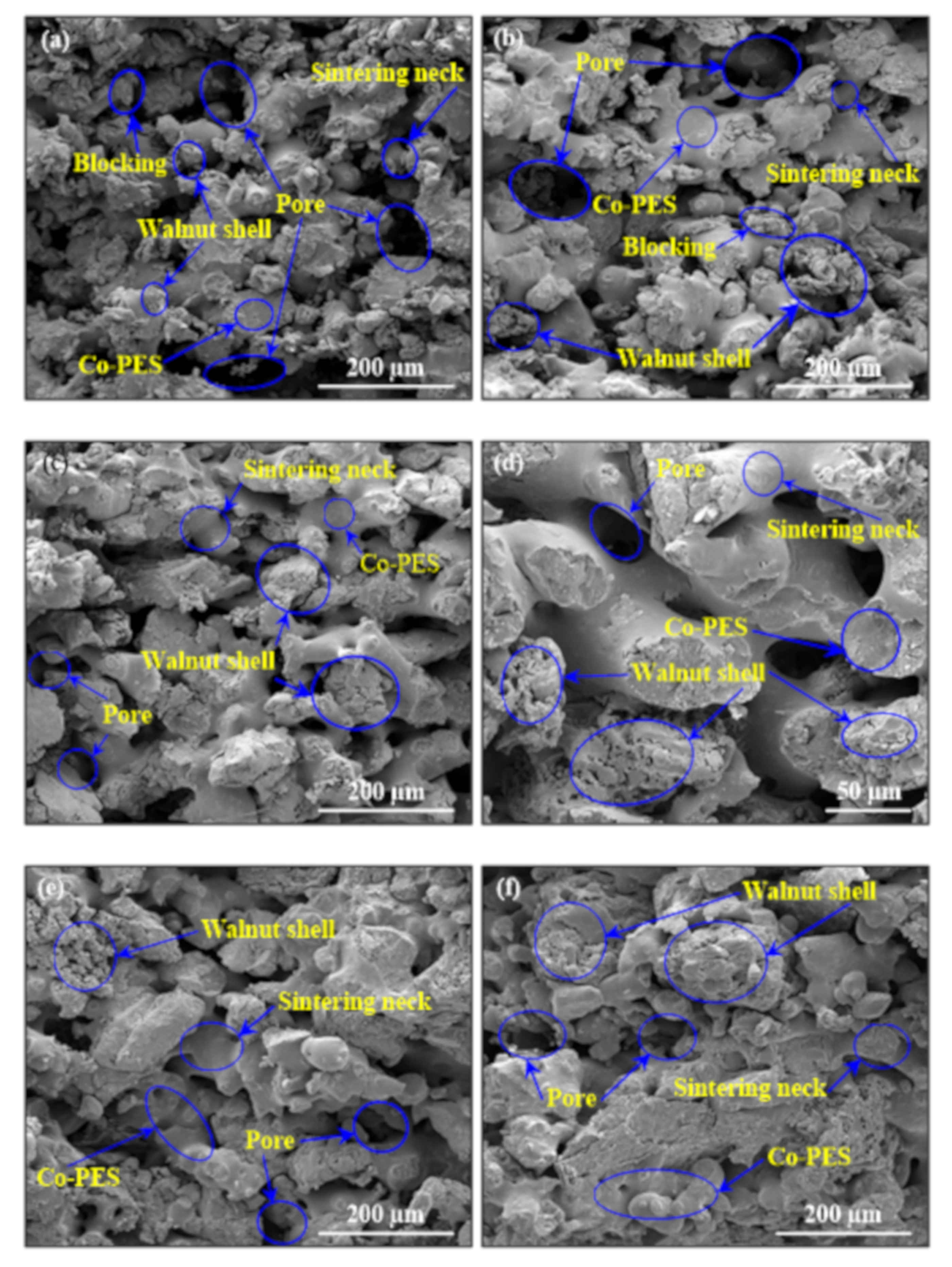 Materials 14 00448 g006