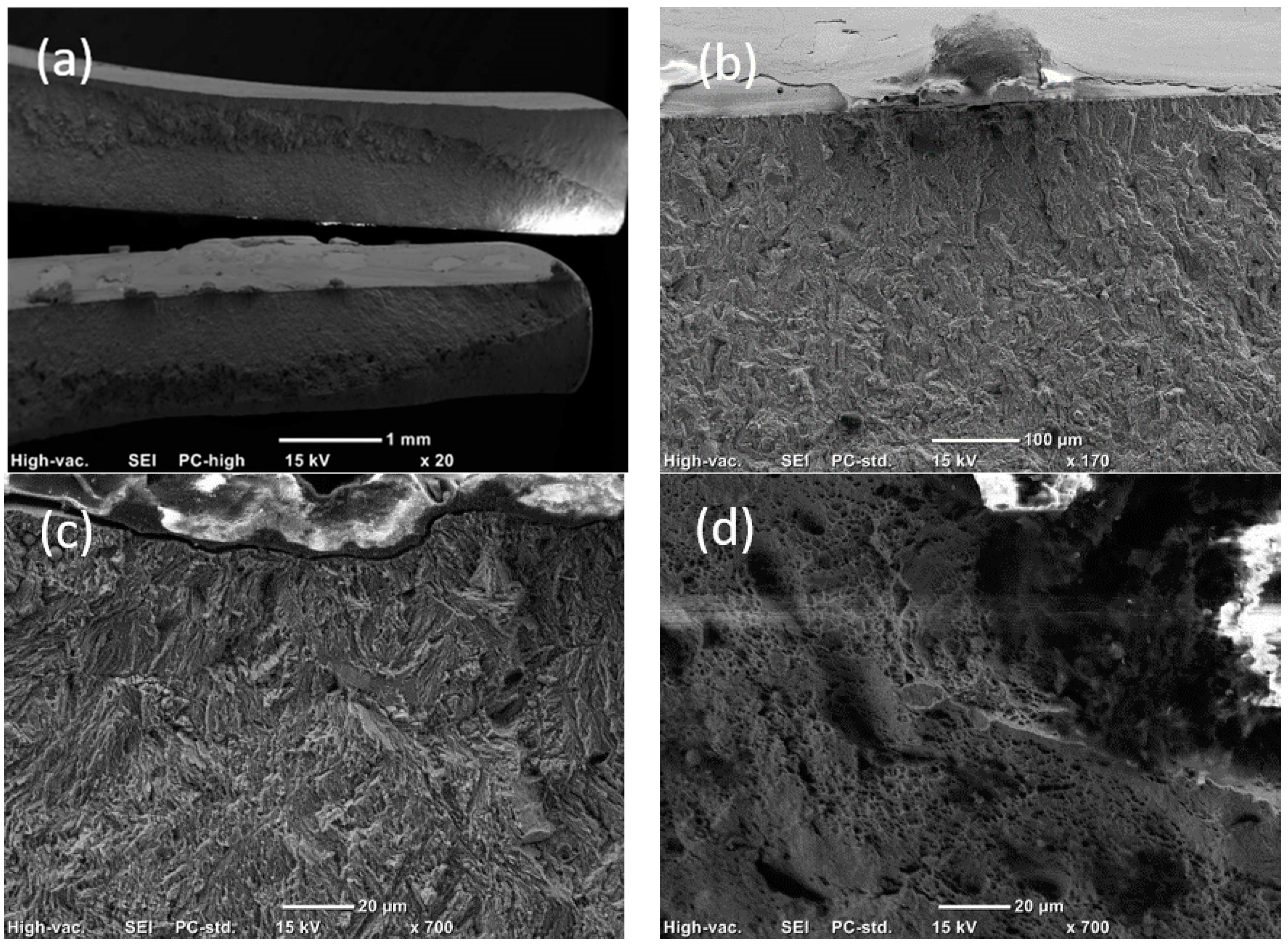 Materials 14 00456 g013 Materials 14 00456 g013