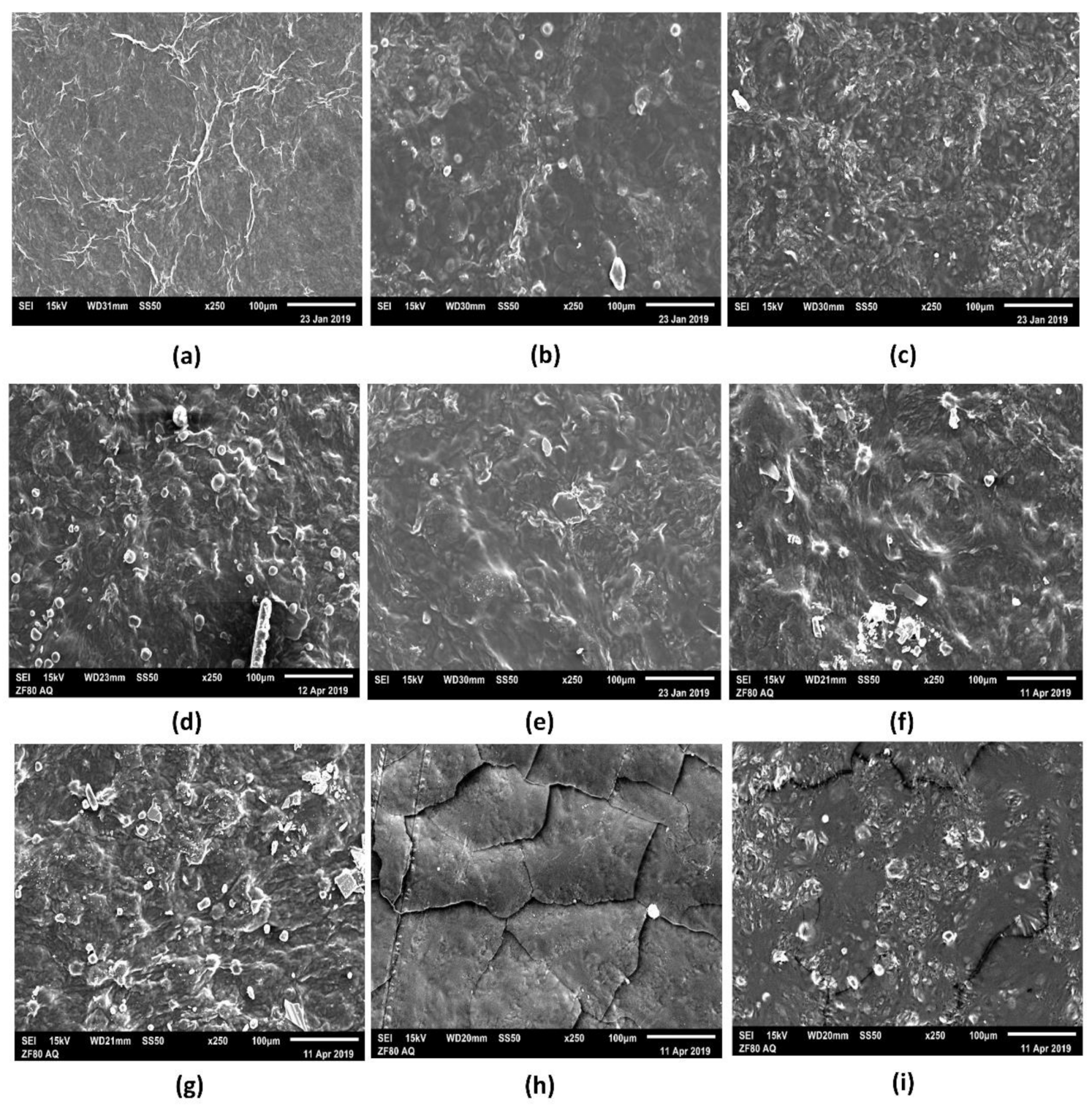 Materials 14 00458 g006