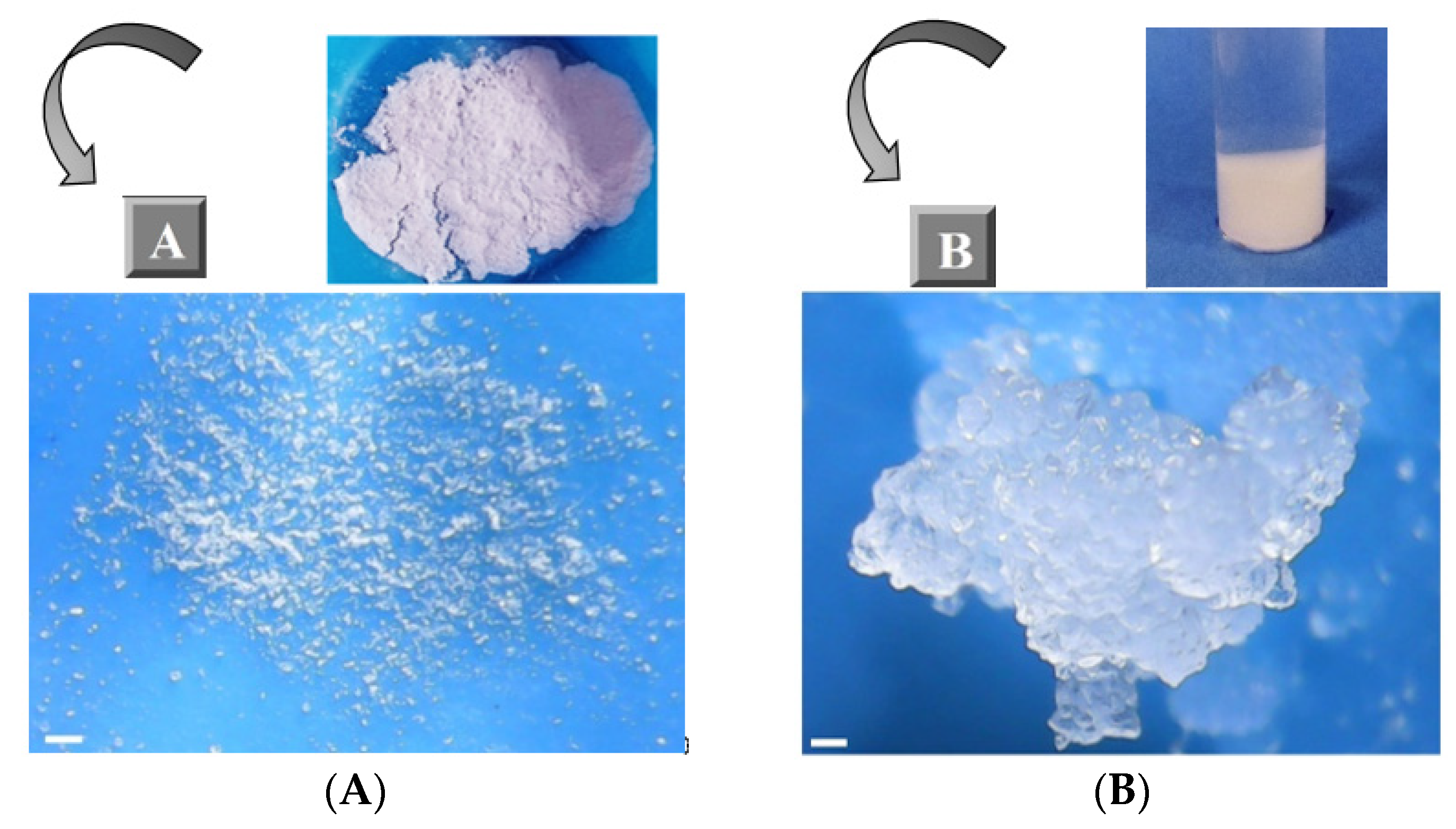 Materials 14 00478 g002